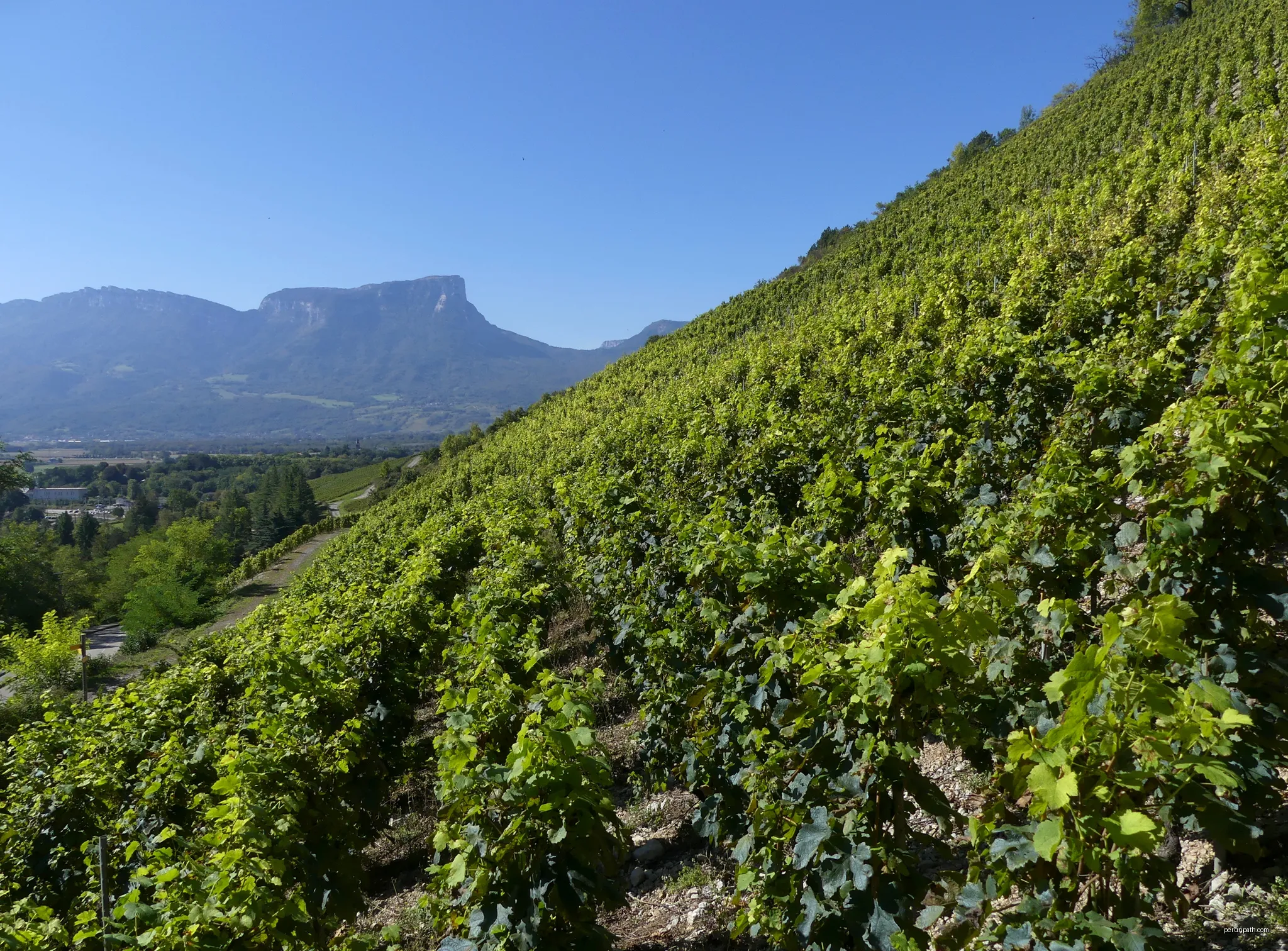 Sentier des Buis