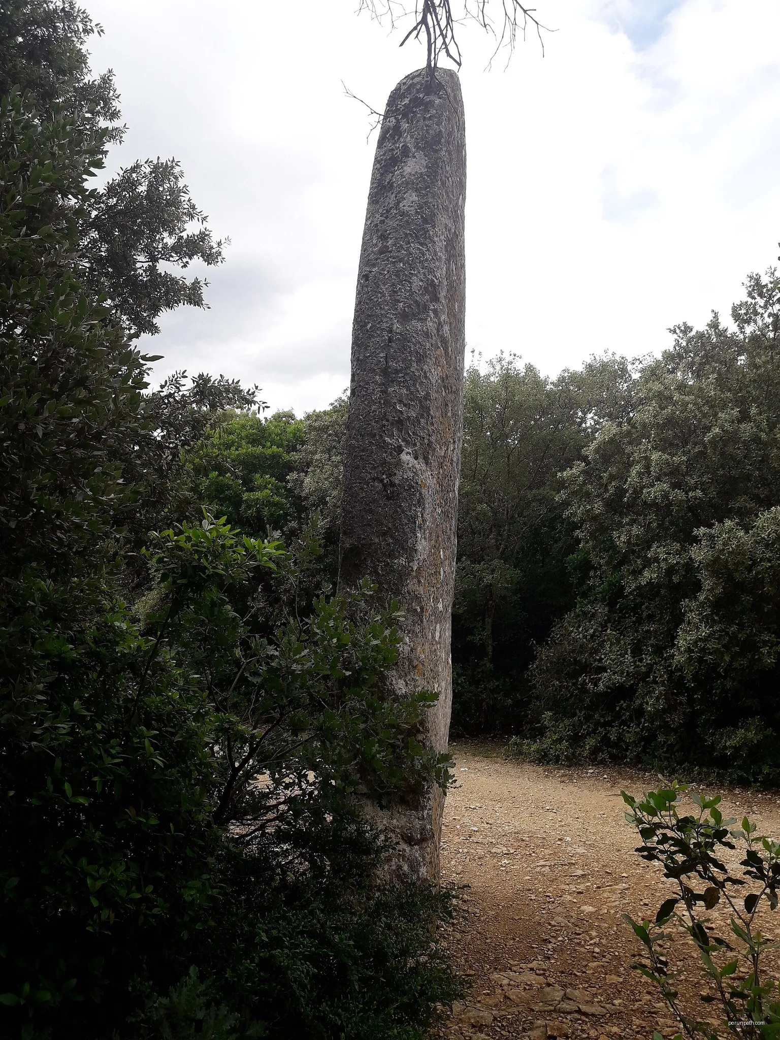 Le menhir, les Concluses