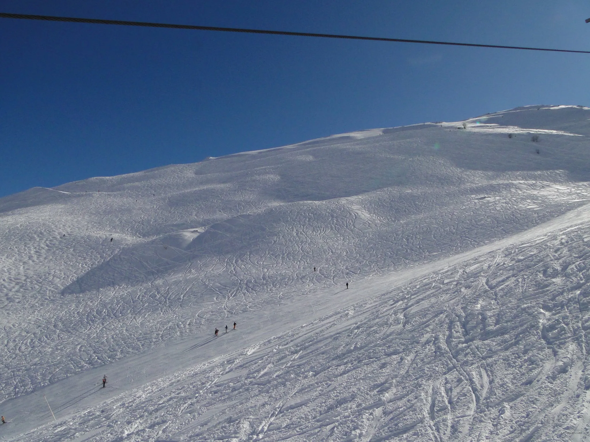 freeride: Plaque Dominique