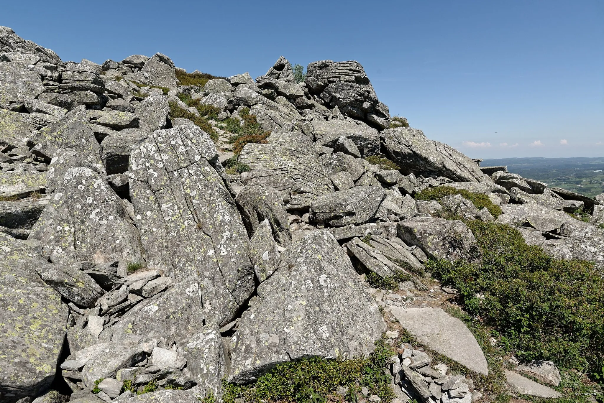 Les Myrtilles