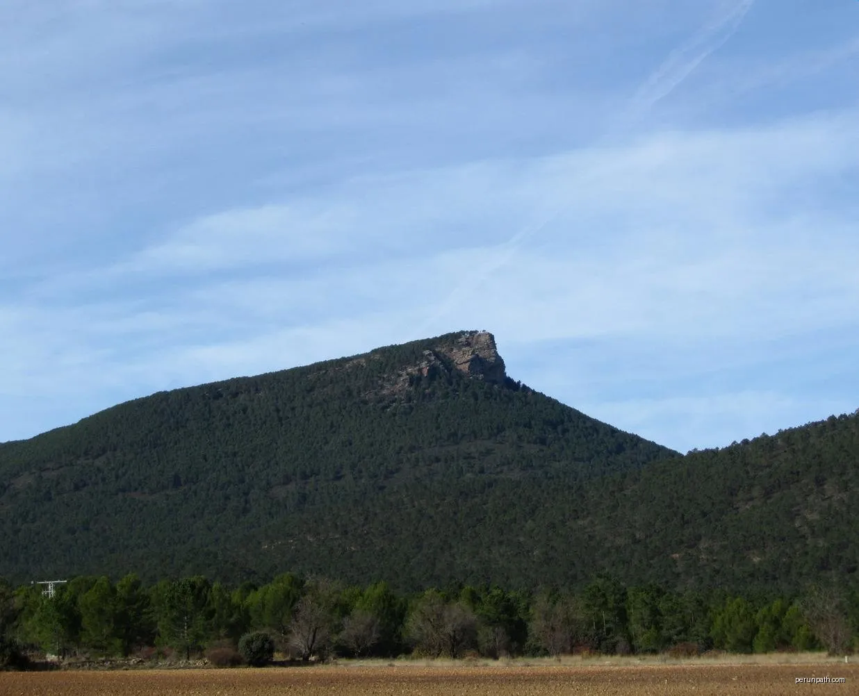 Ranera