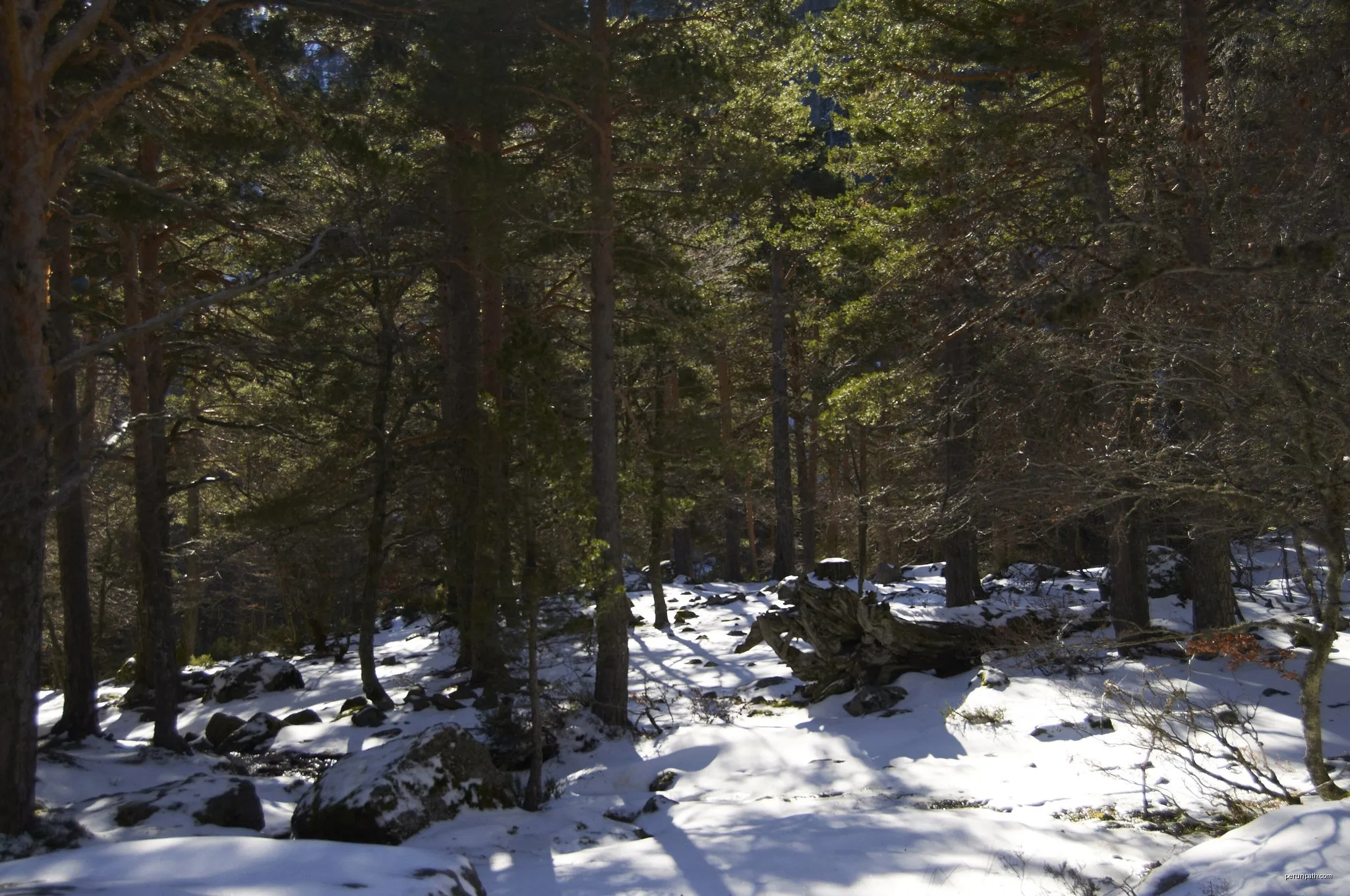 [CIMA SO04] Laguna Negra de Urbión