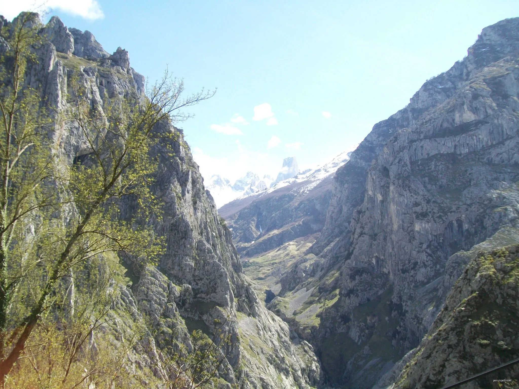 Camarmeña