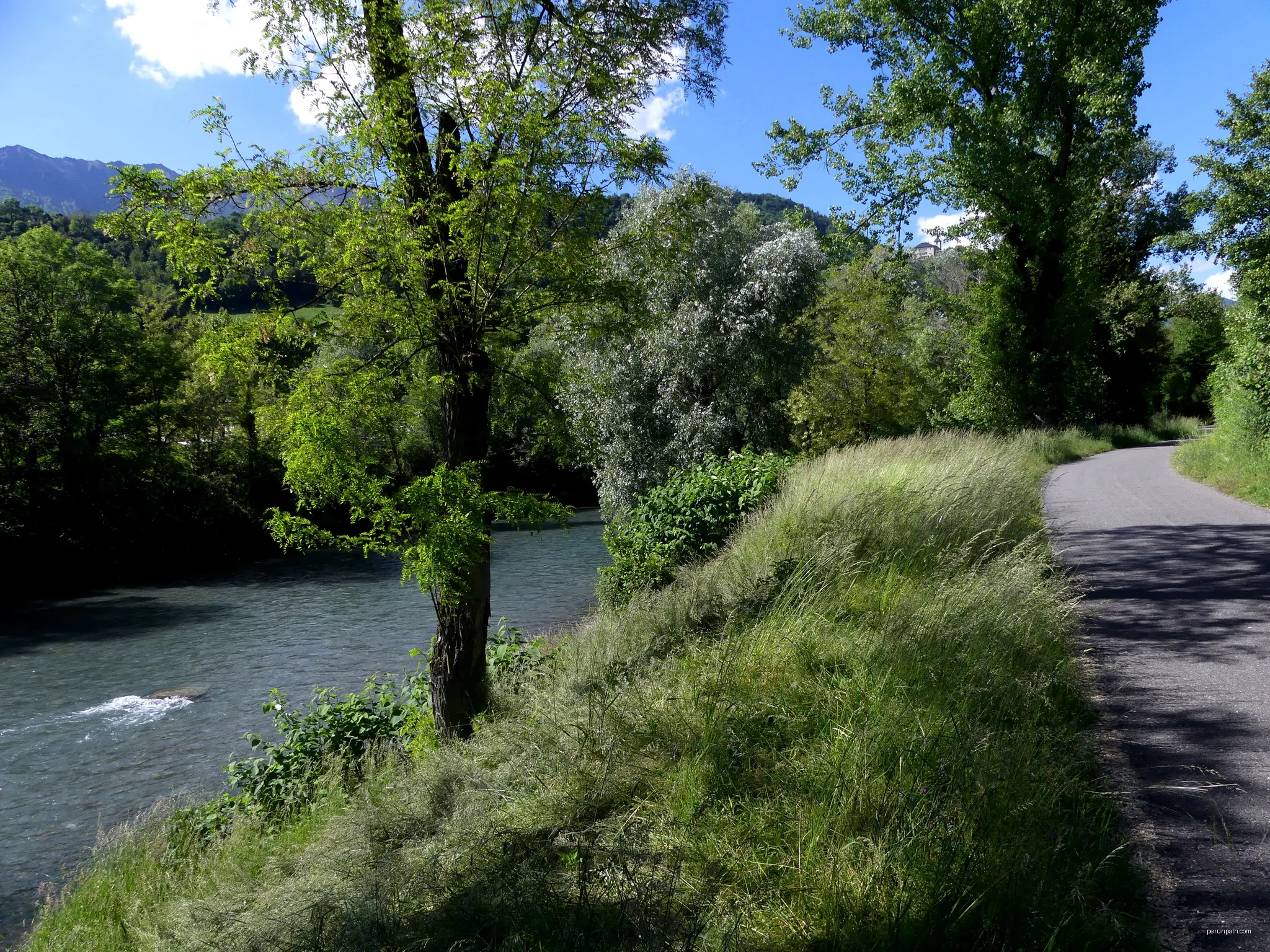 Forêt du Tal