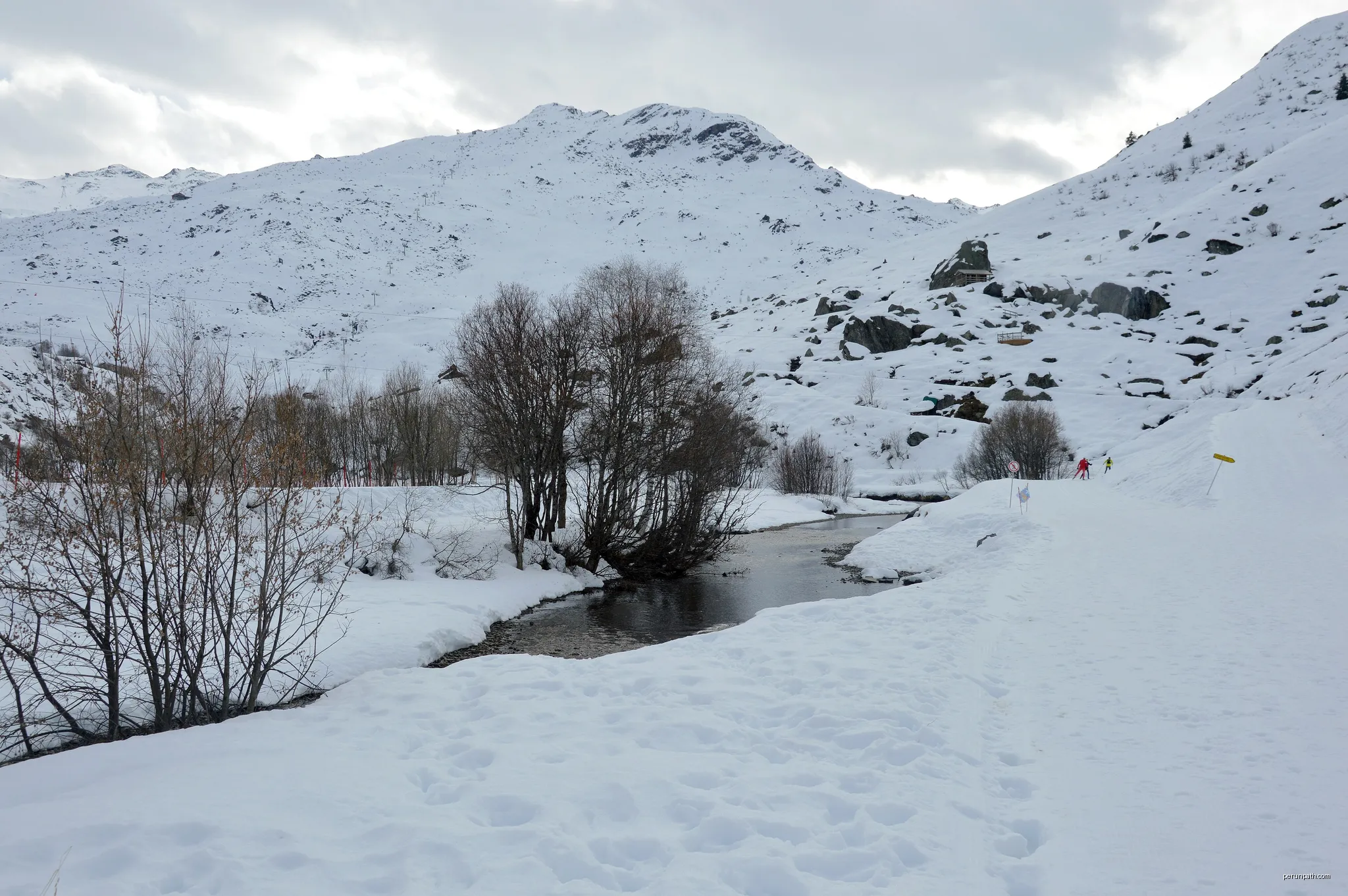 Les Roseaux