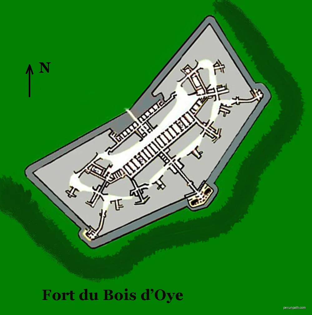 Bois du Plan