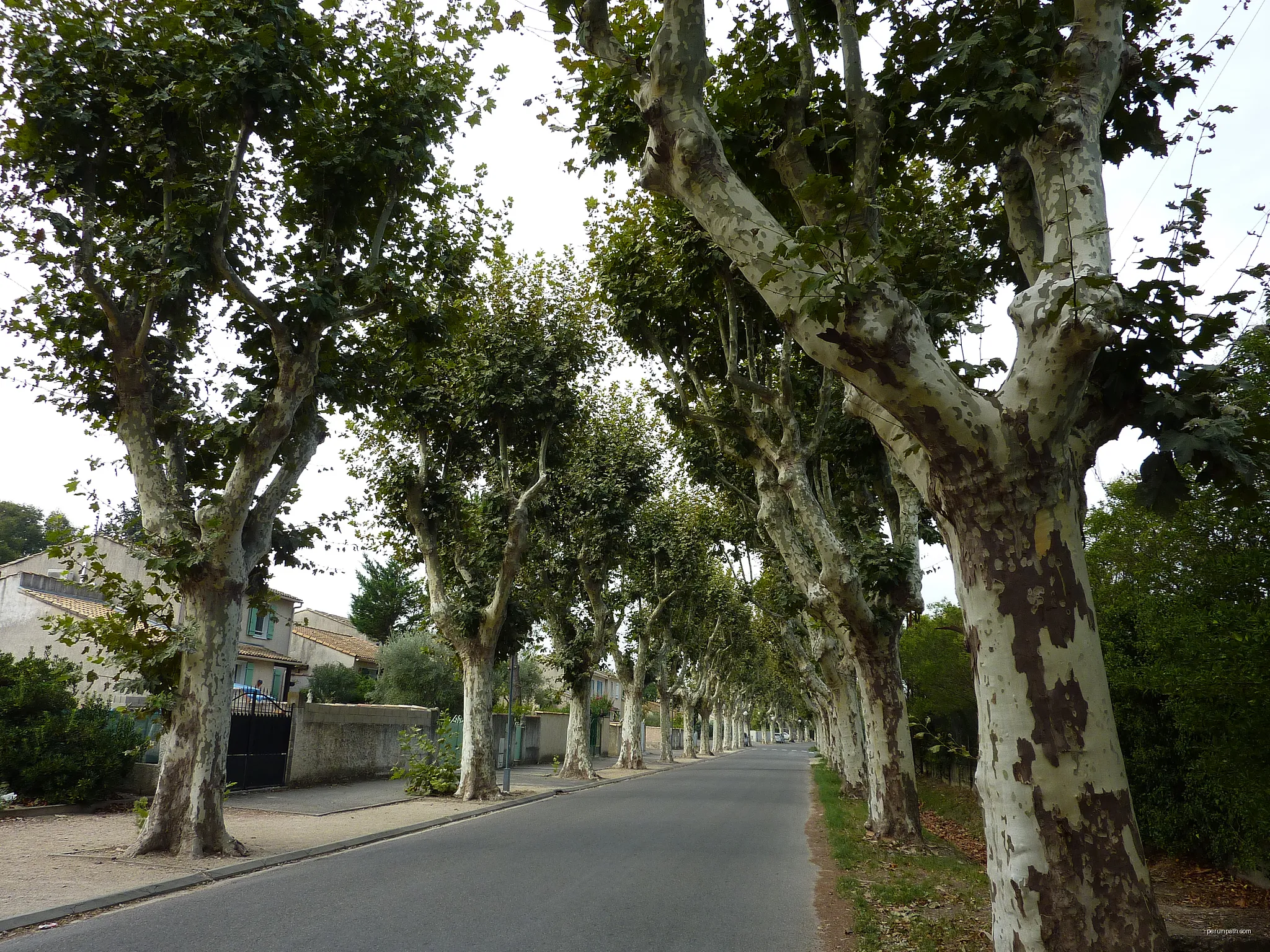 Les Boucles du 13 - Alpilles - le val d'Enfer