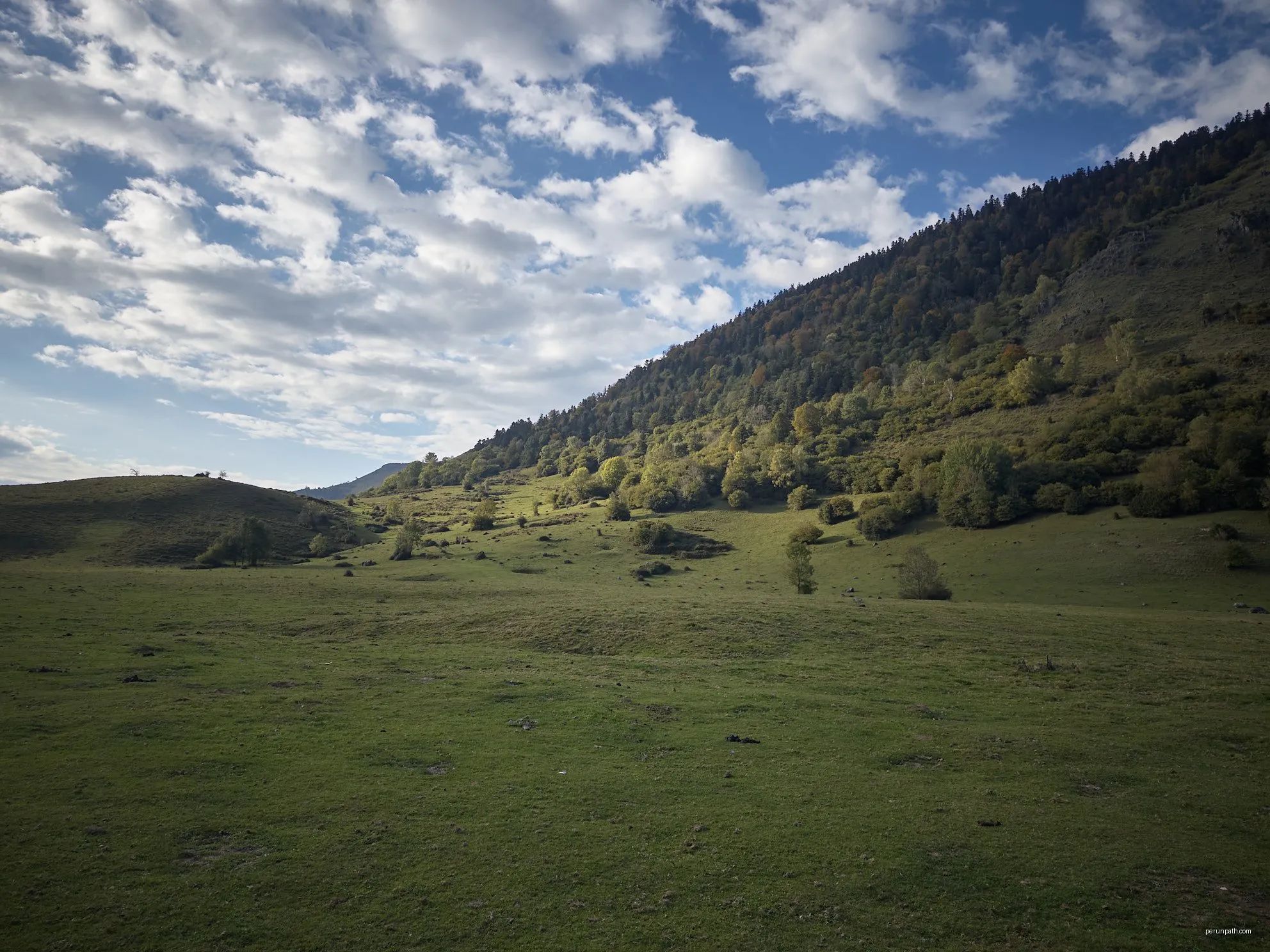 Le Plateau de Benou et les Cromlechs de Lous Couraus