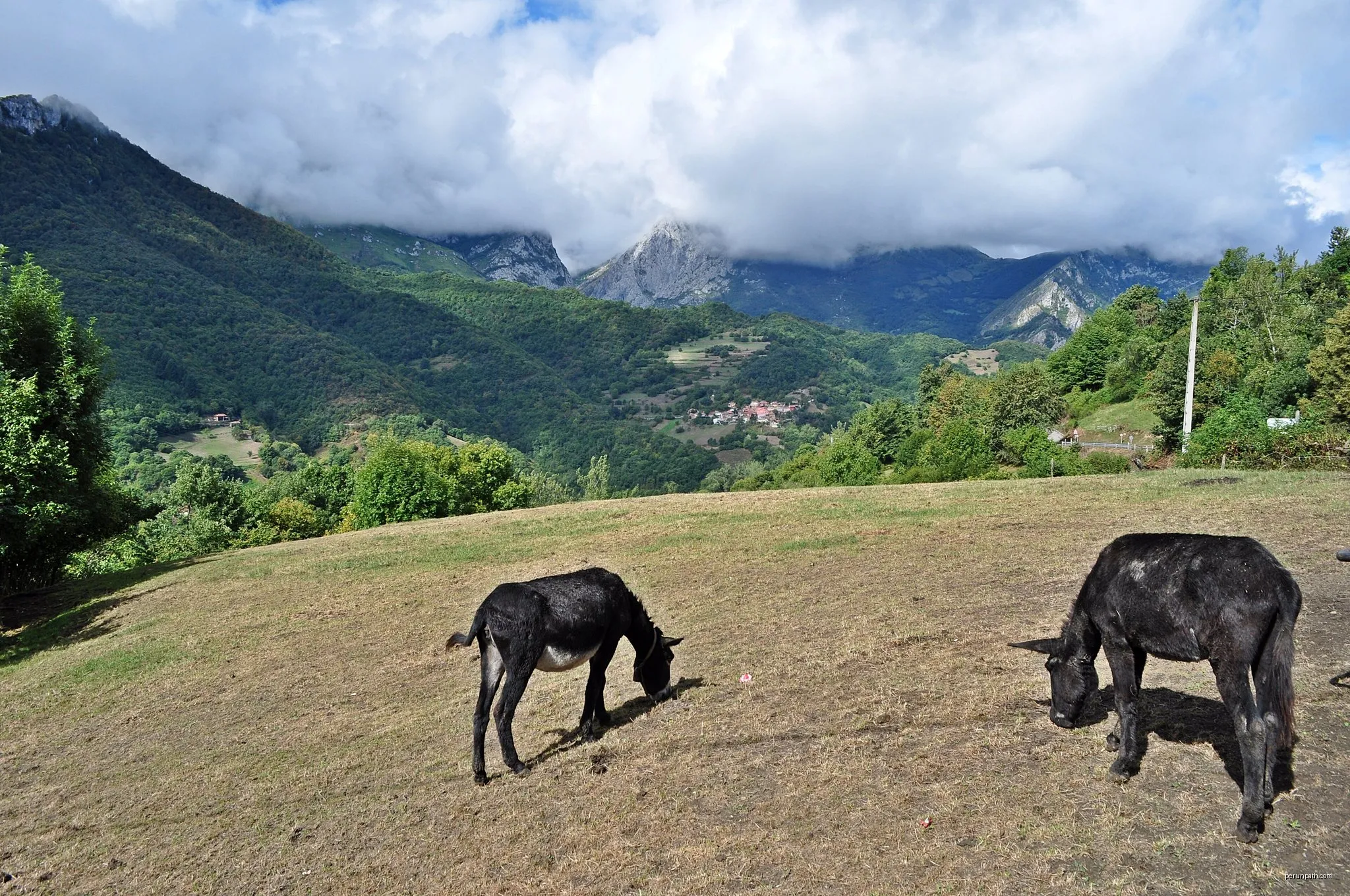 Ruta del Valle de Ponga