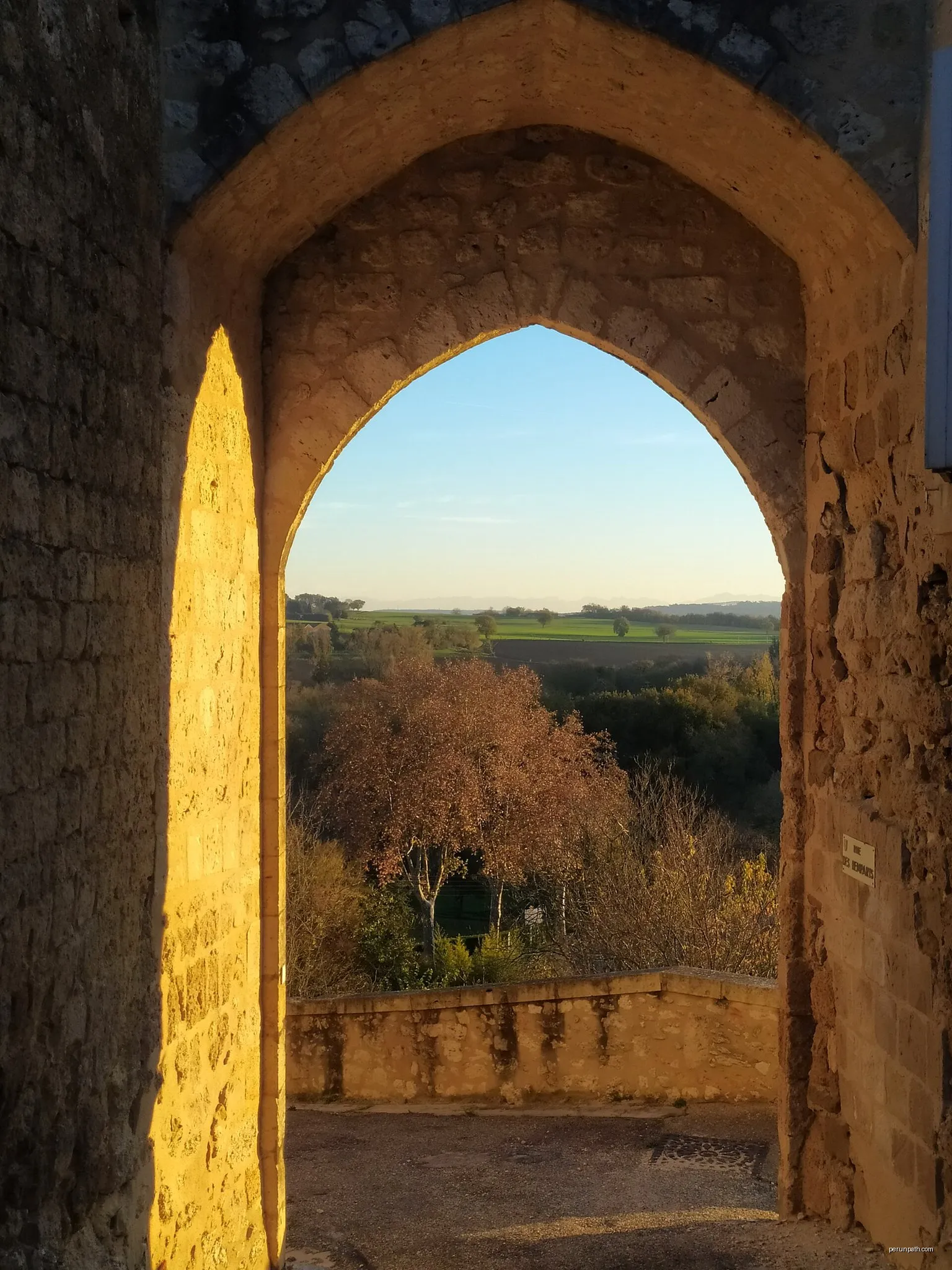 Cœur de Gascogne