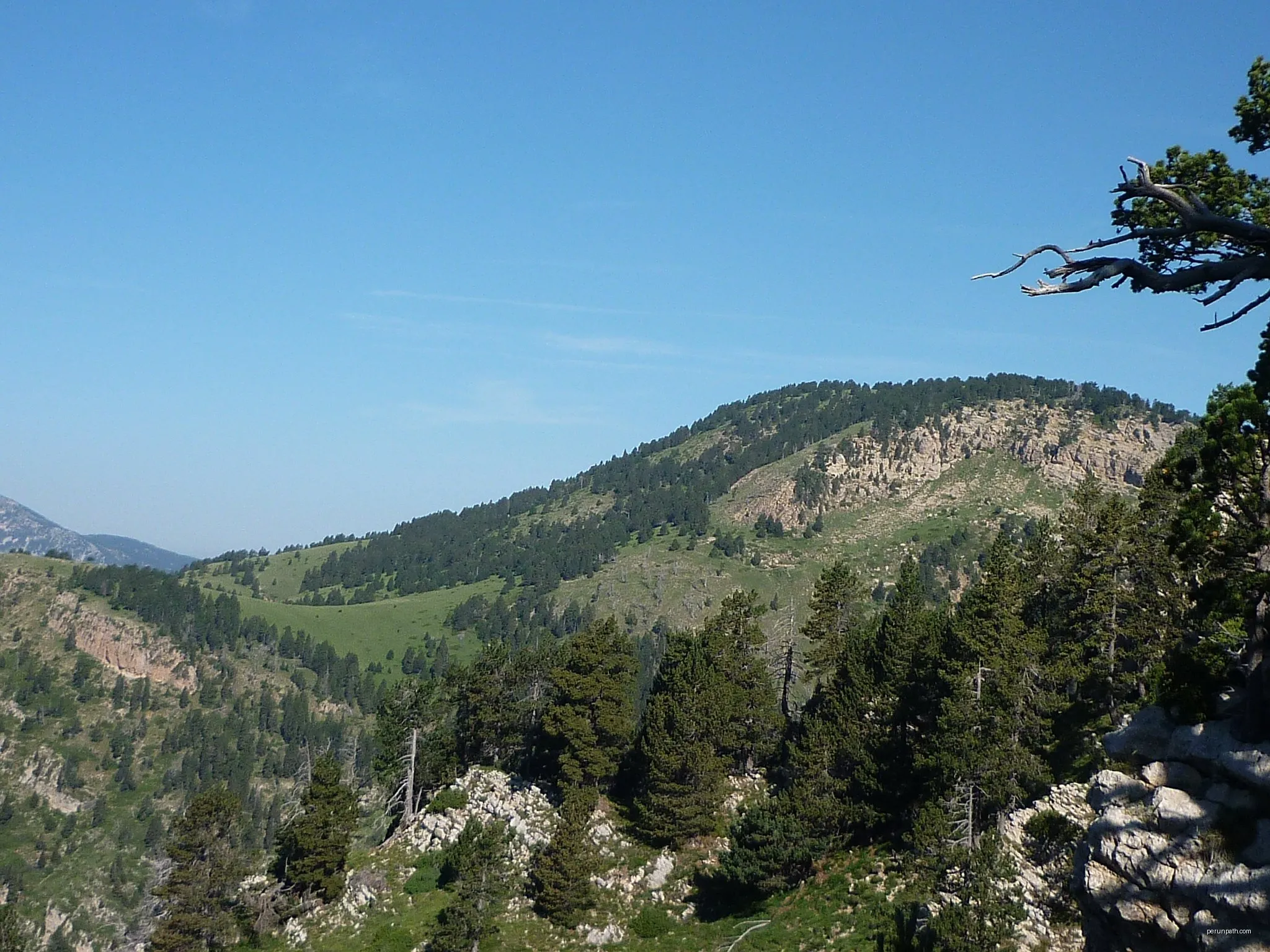 Serra del Verd