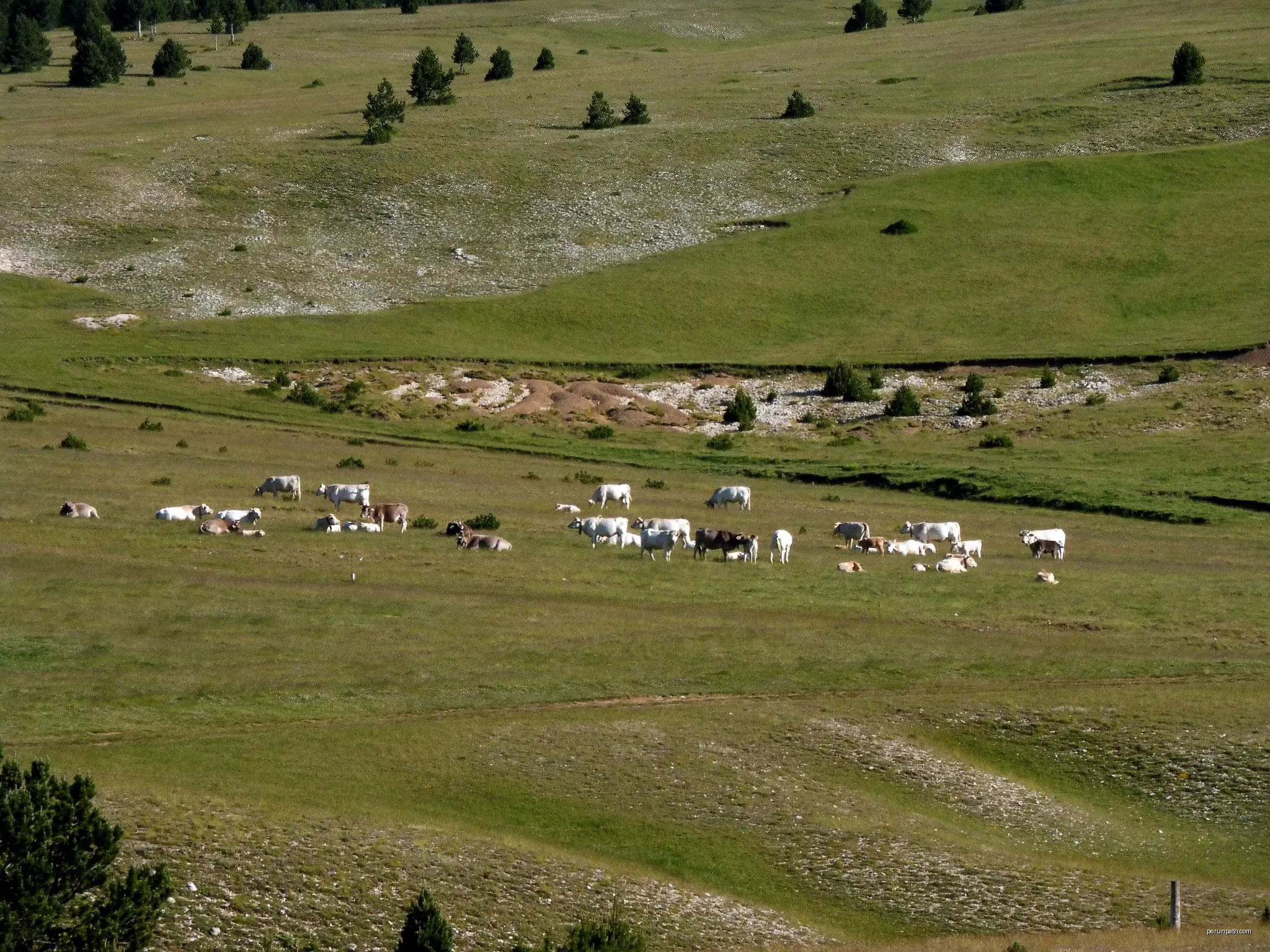 Mirador de Querol i Prats de Becies