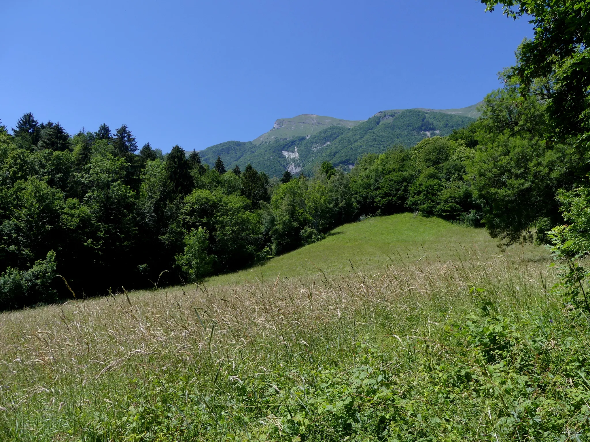 Col du Haut du Four