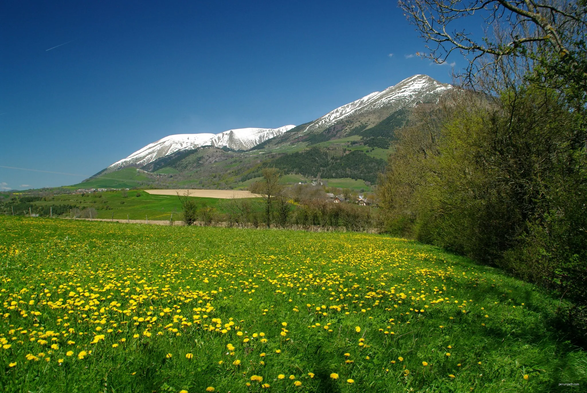 Les bords de la Roizonne