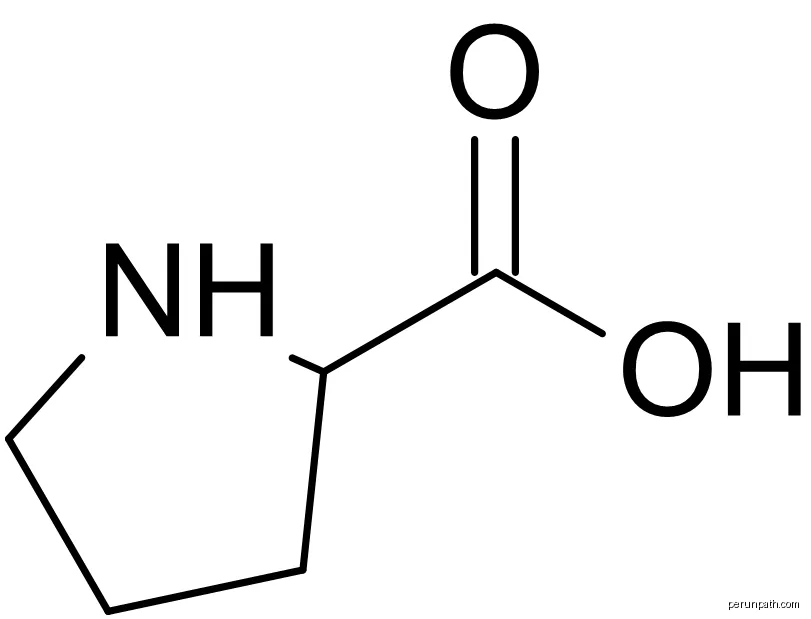 Proline (Pro) | Autor: Science images | Licencja: CC0 | Źródło: Wikimedia Commons