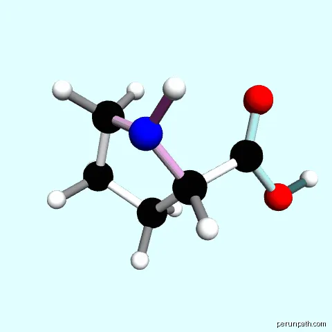 Proline
