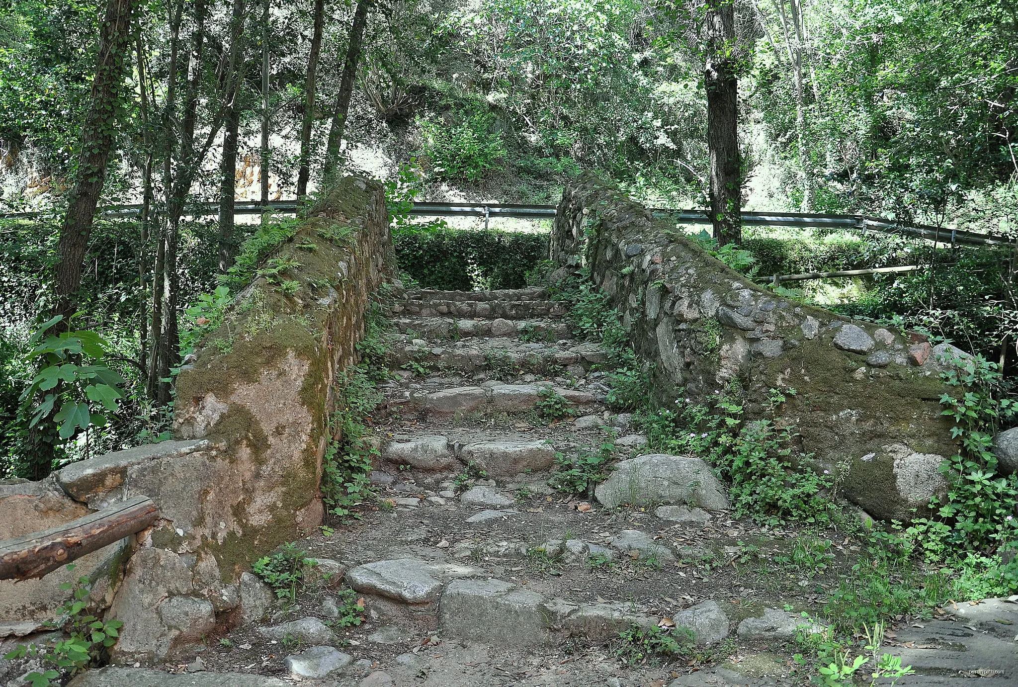 la Selva-2016 | Autor: Alberto-g-rovi | Licencja: CC BY-SA 4.0 | Źródło: Wikimedia Commons