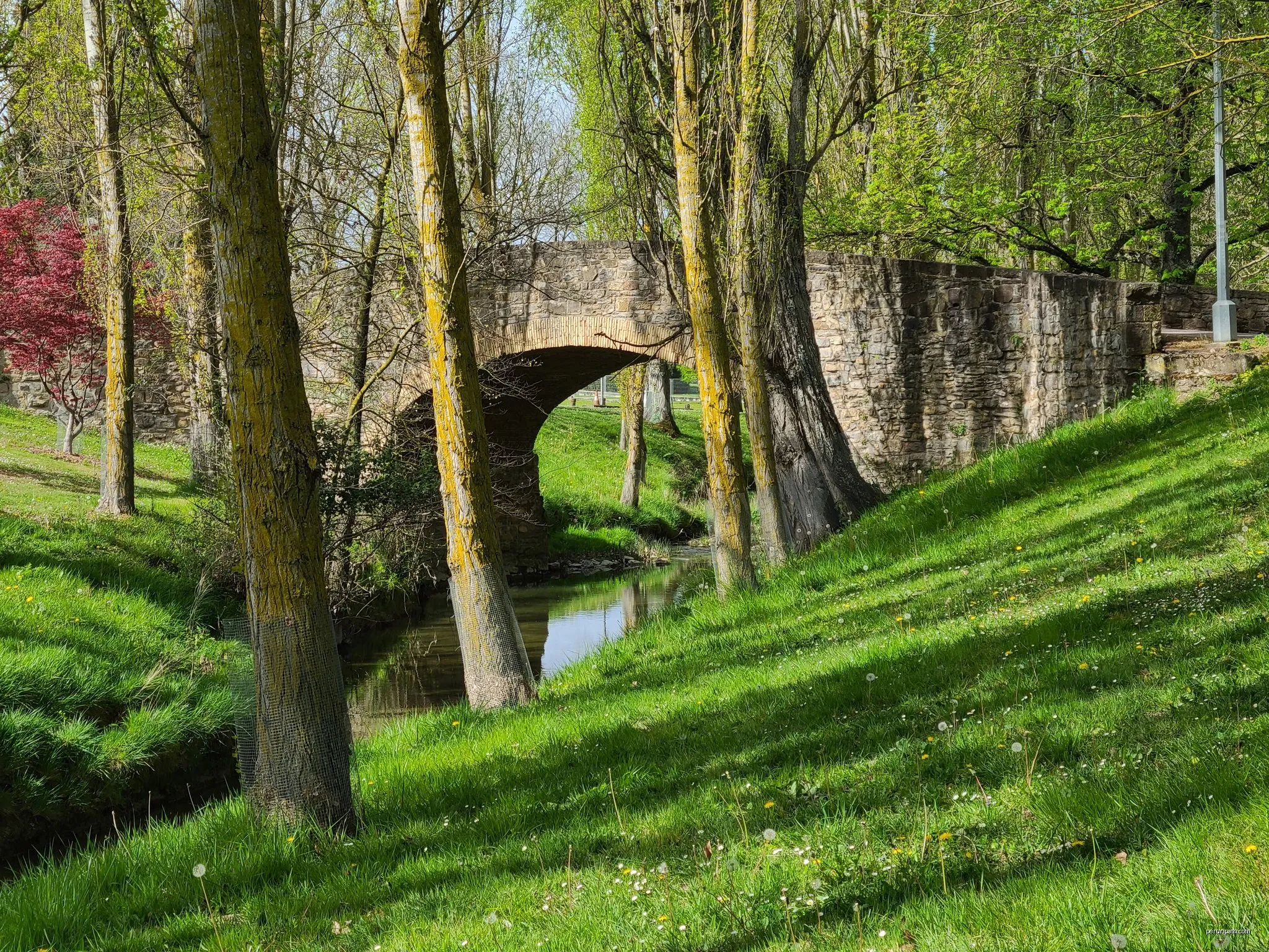 Paseo Fluvial Río Elorz