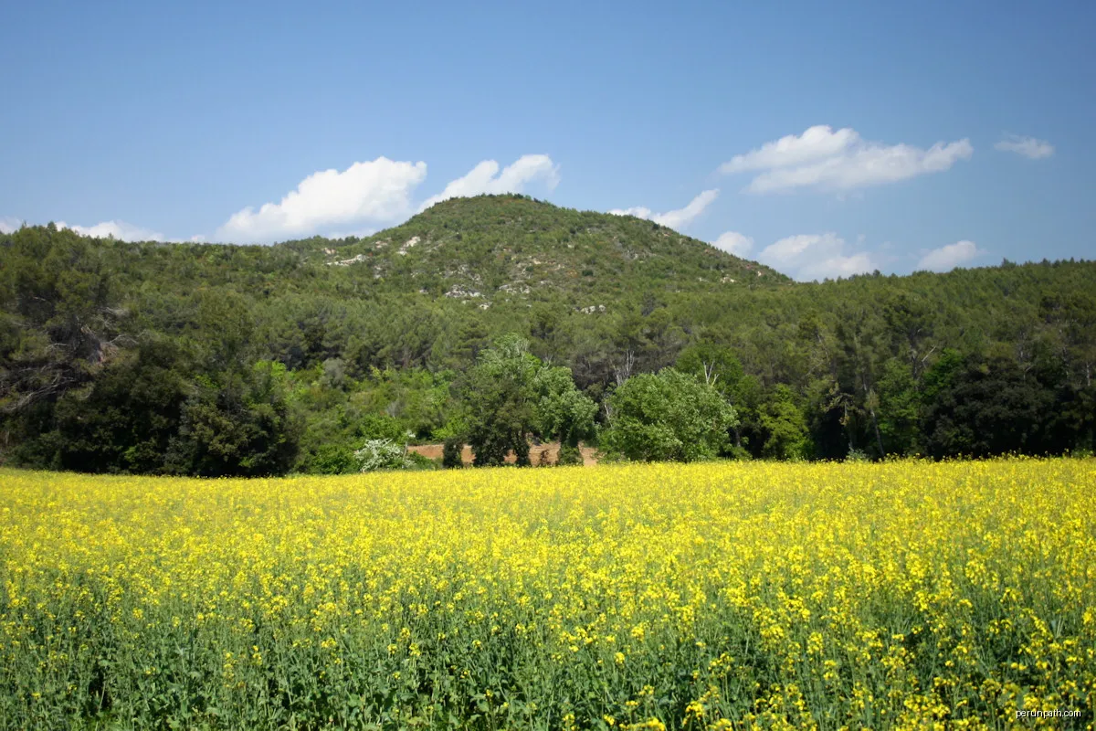 Puig Clarà | Autor: Jorge Franganillo | Licencja: CC BY 3.0 | Źródło: Wikimedia Commons