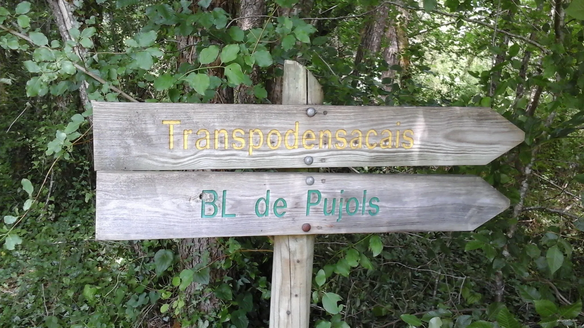 Pujols-sur-Ciron : boucle locale