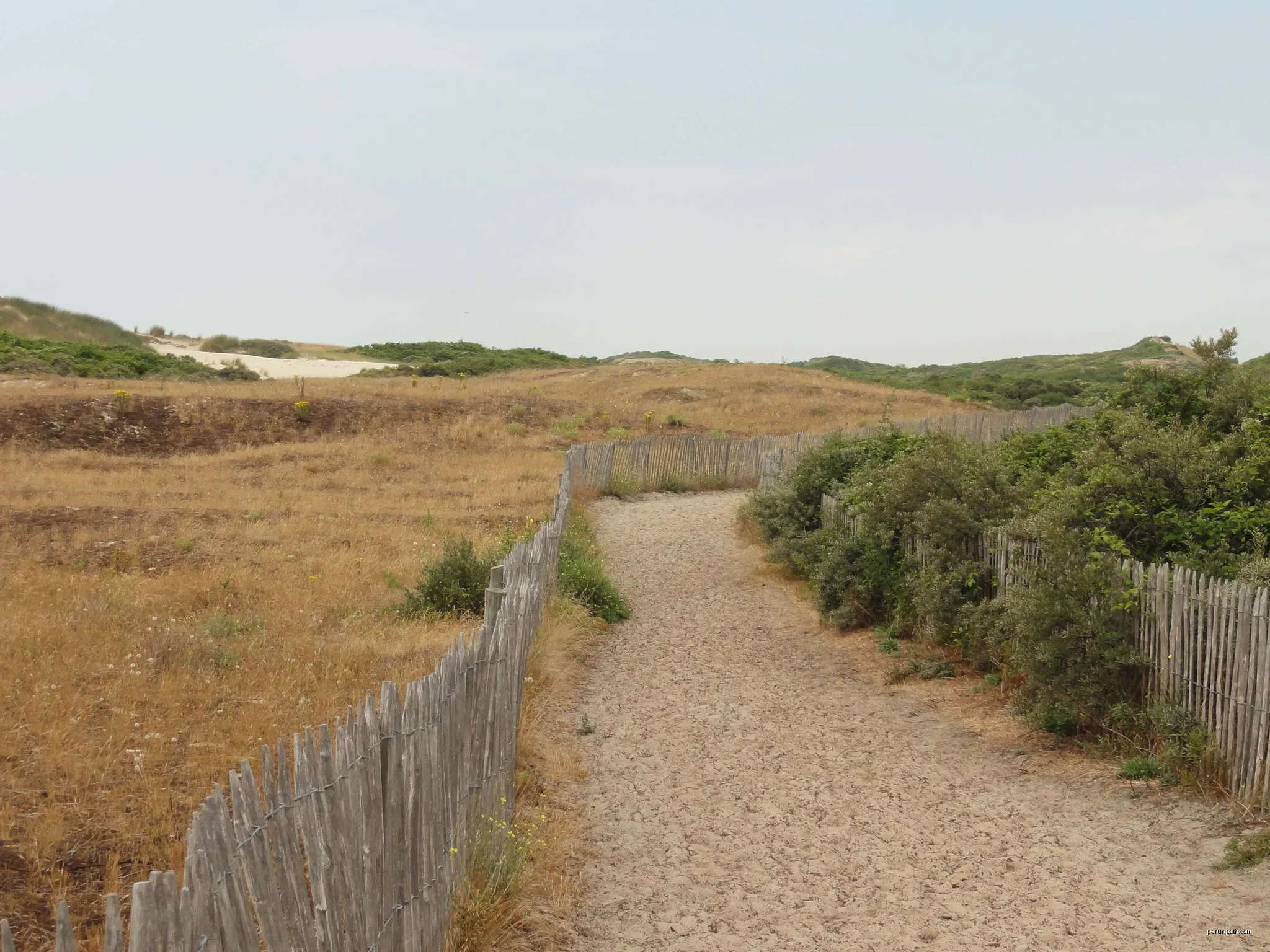 Quend-Plage - sentier de découverte du Royon. | Autor: Pierre Poschadel | Licencja: CC BY-SA 4.0 | Źródło: Wikimedia Commons