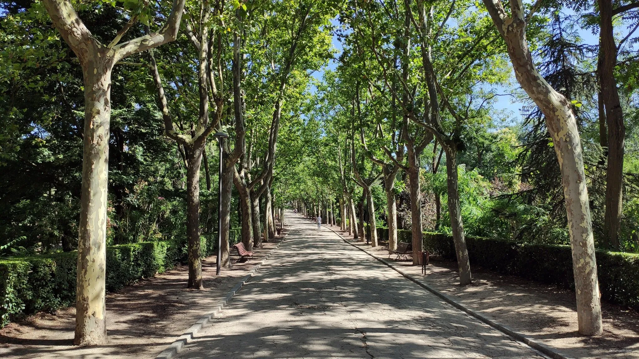Camino de los Molinos