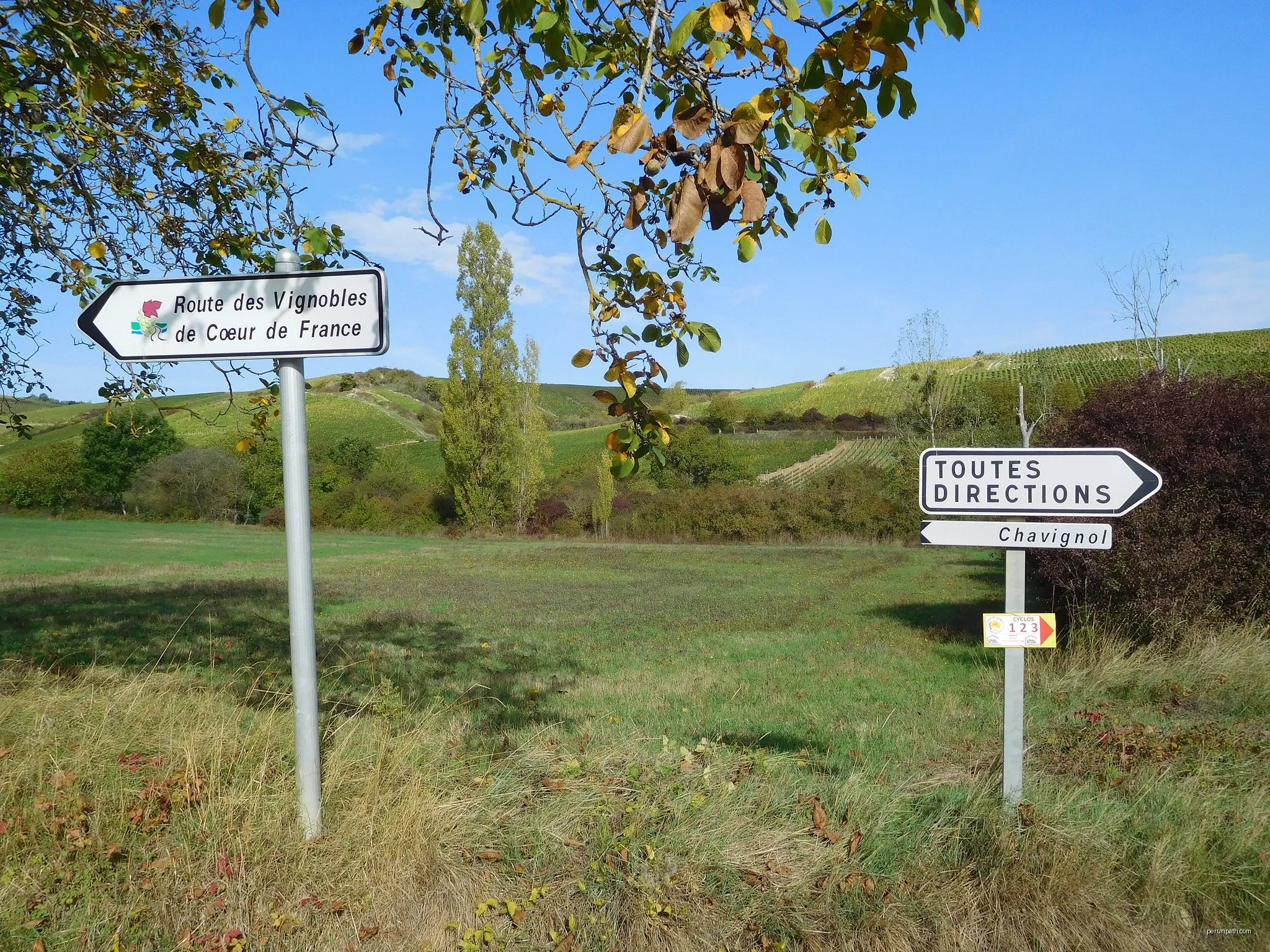 Circuit du Vignoble