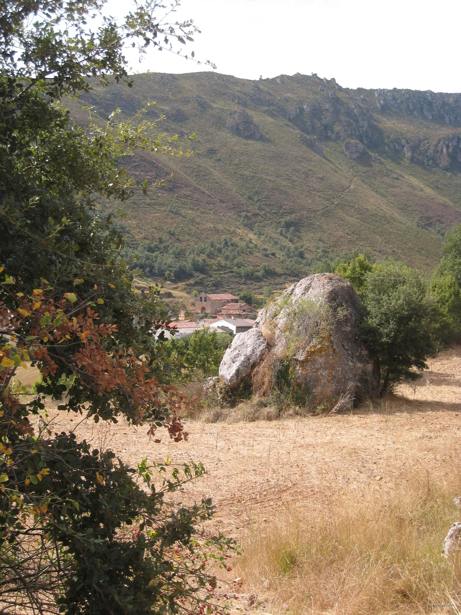 Ranera