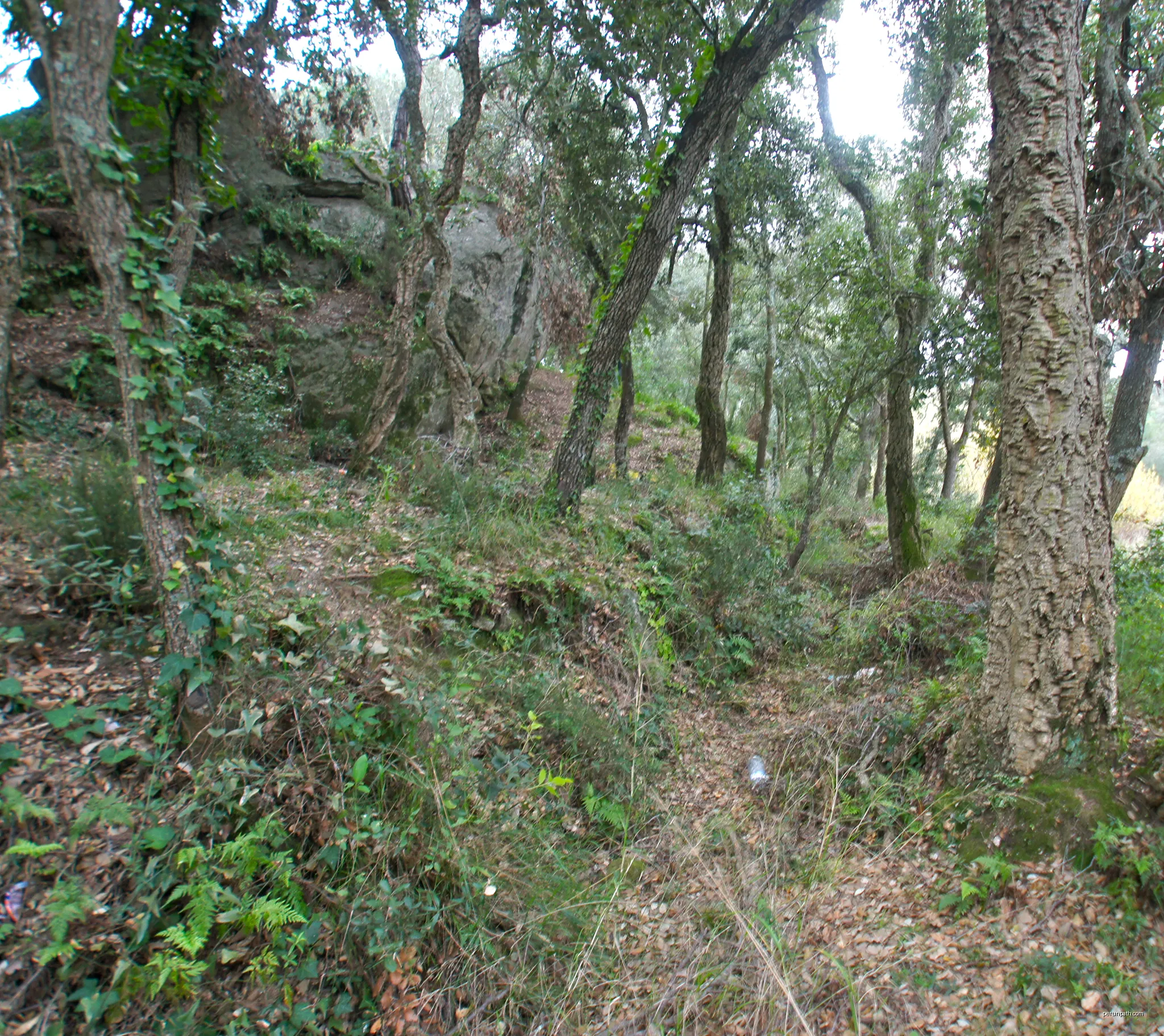 Calonge,  Catalonia: Ruins of the Mill race of the Molí Mayola and Roca Riquel | Autor: flamenc | Licencja: CC BY-SA 3.0 | Źródło: Wikimedia Commons