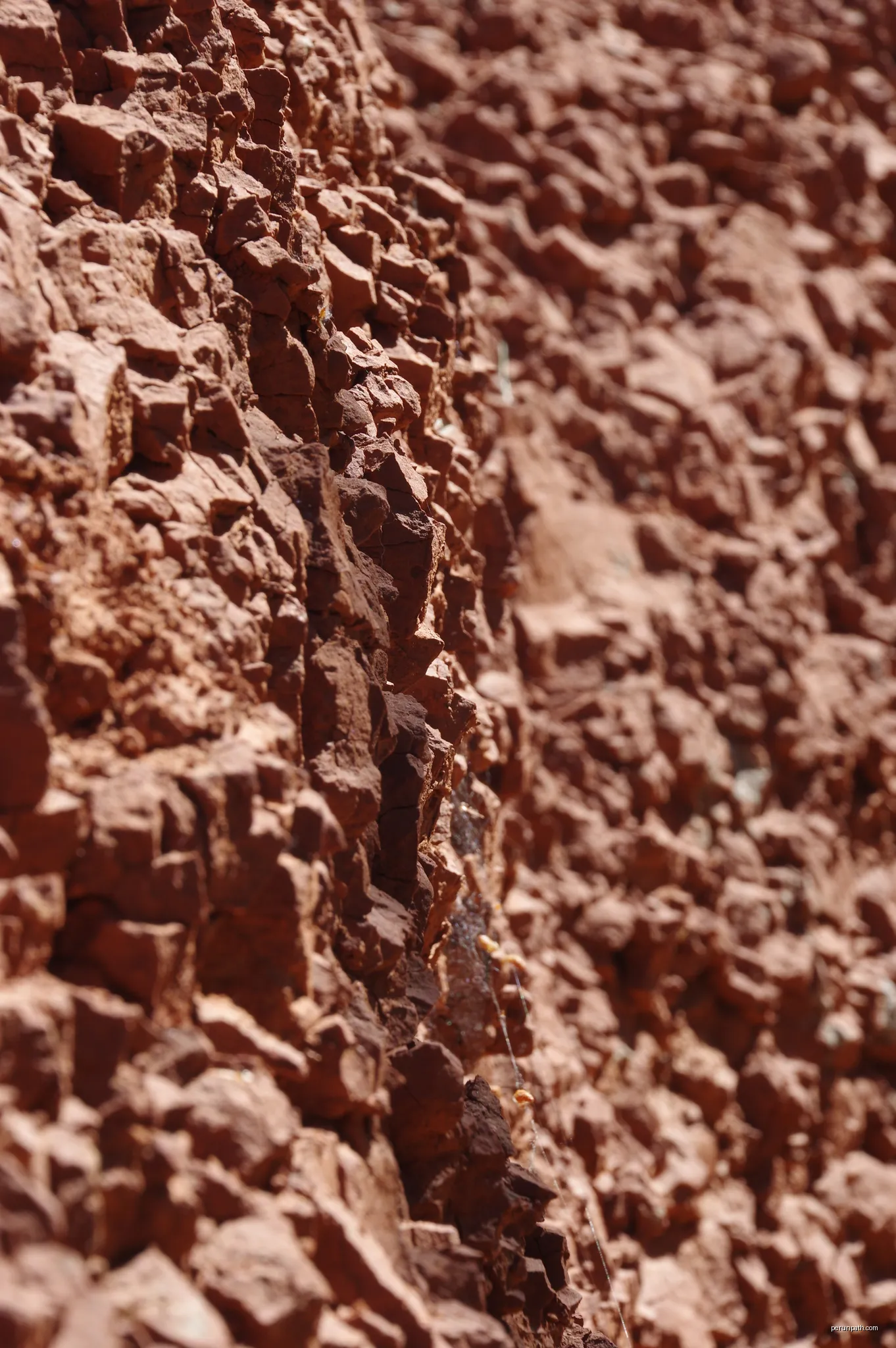 Le grand couloir