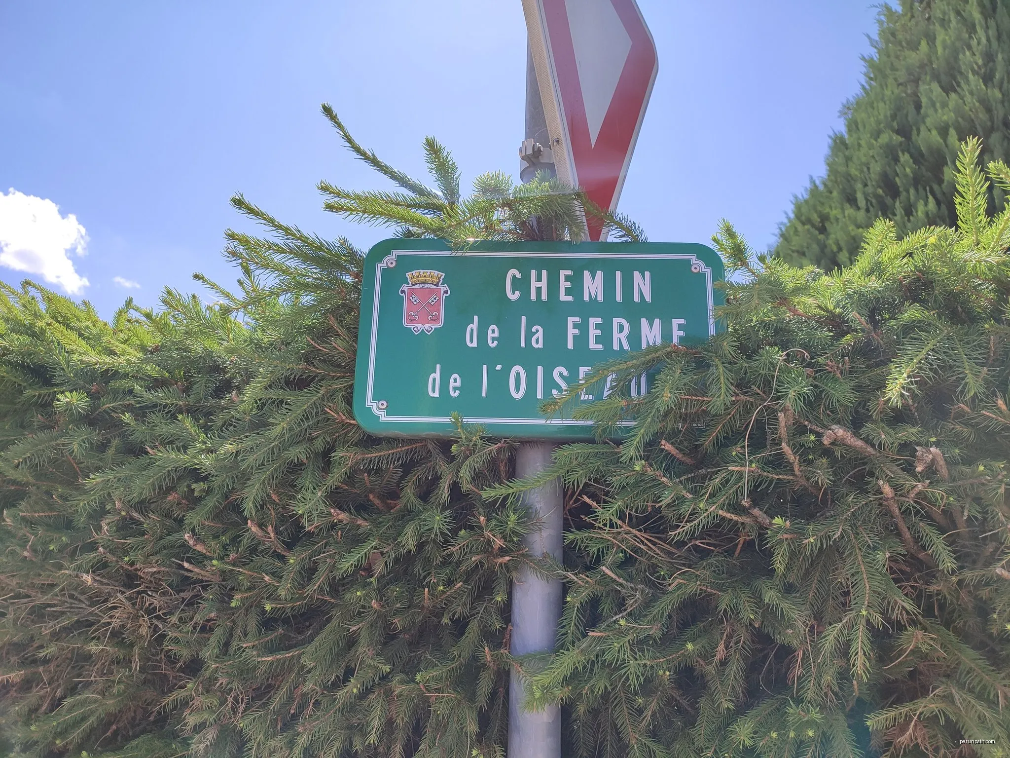 Le Chemin de l'Oiseau