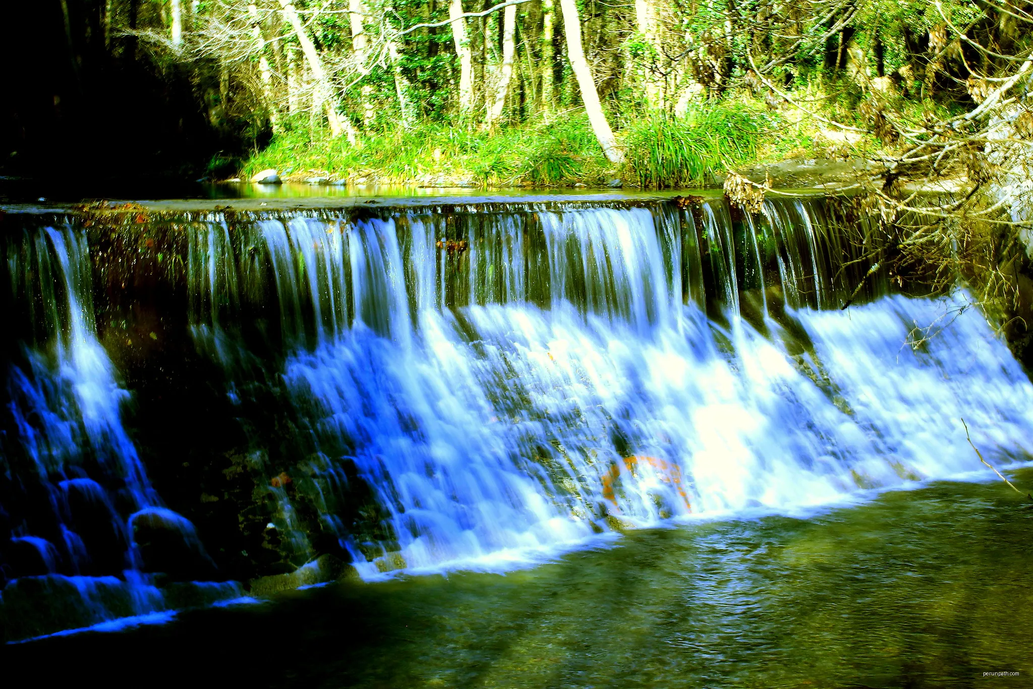 RIERAS, MONTSENY. | Autor: Manuel pino | Licencja: CC BY-SA 3.0 | Źródło: Wikimedia Commons