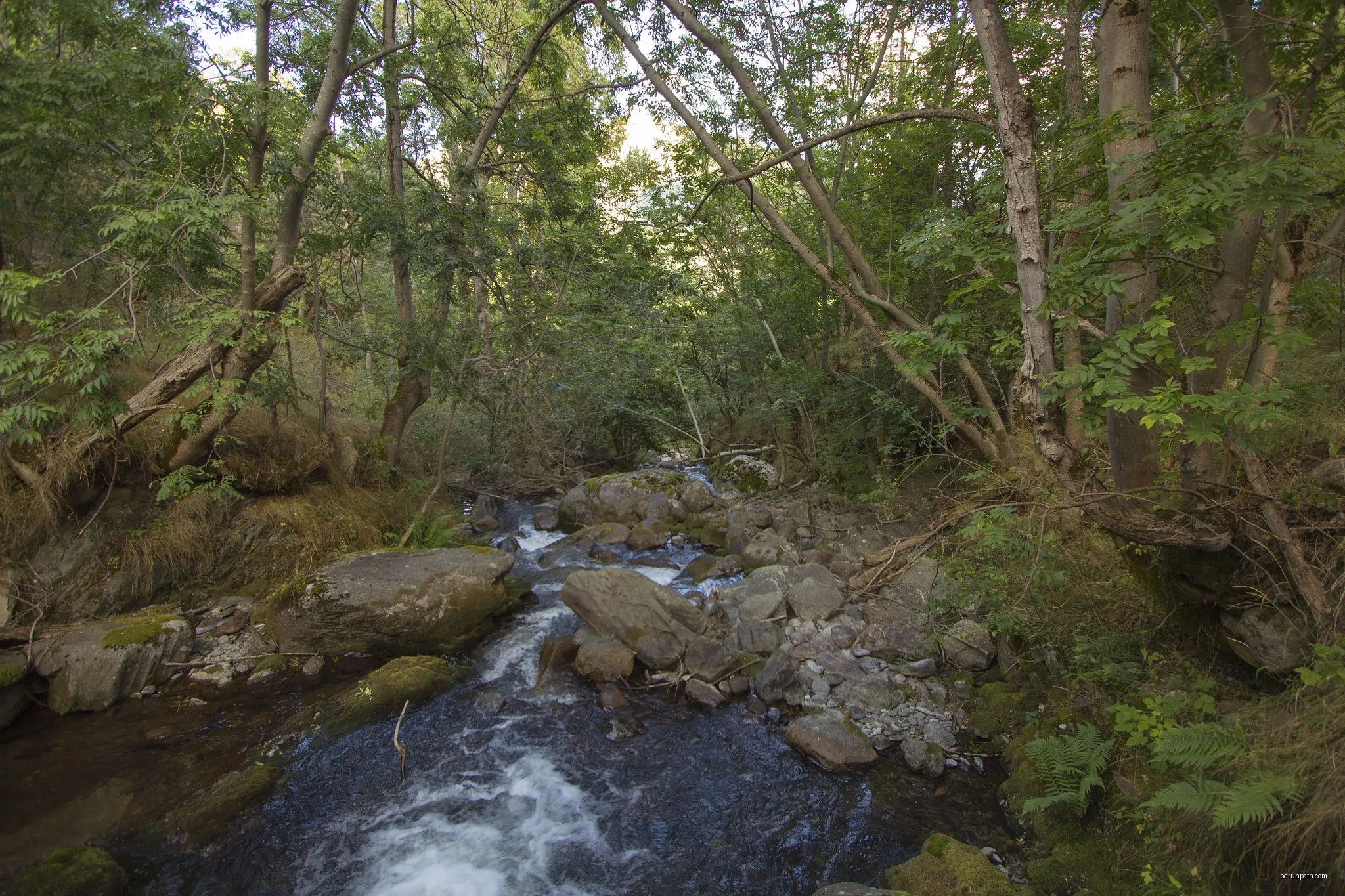 Borén-Àrreu