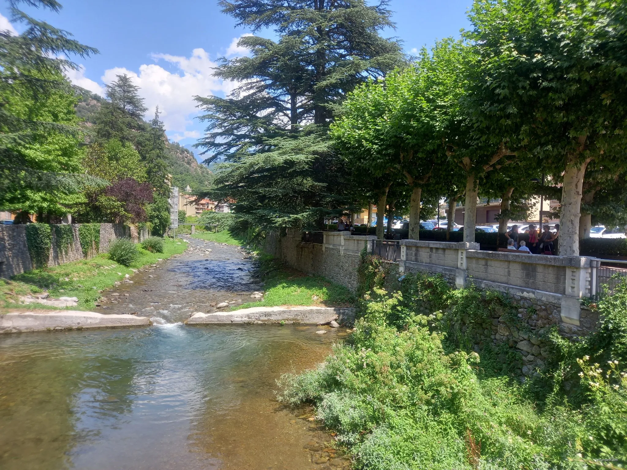 [CIMA GI16] Coll de Jou * Ribes de Fresser