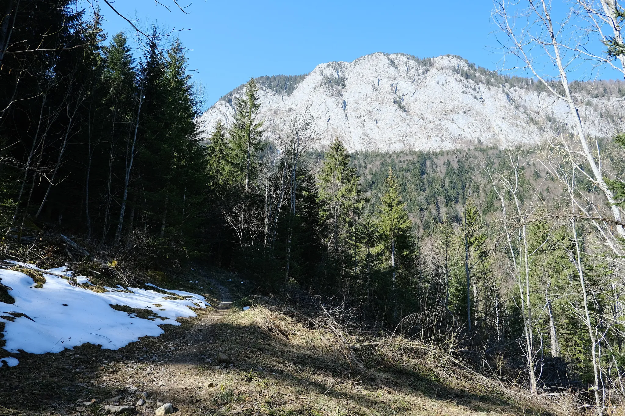 Montagne du Charbon depuis Montgellaz