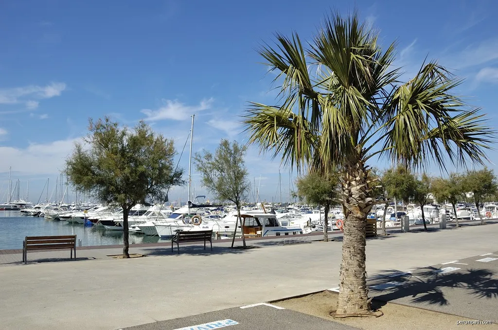 Roses harbour, Girona | Autor: Doronenko | Licencja: CC BY-SA 3.0 | Źródło: Wikimedia Commons