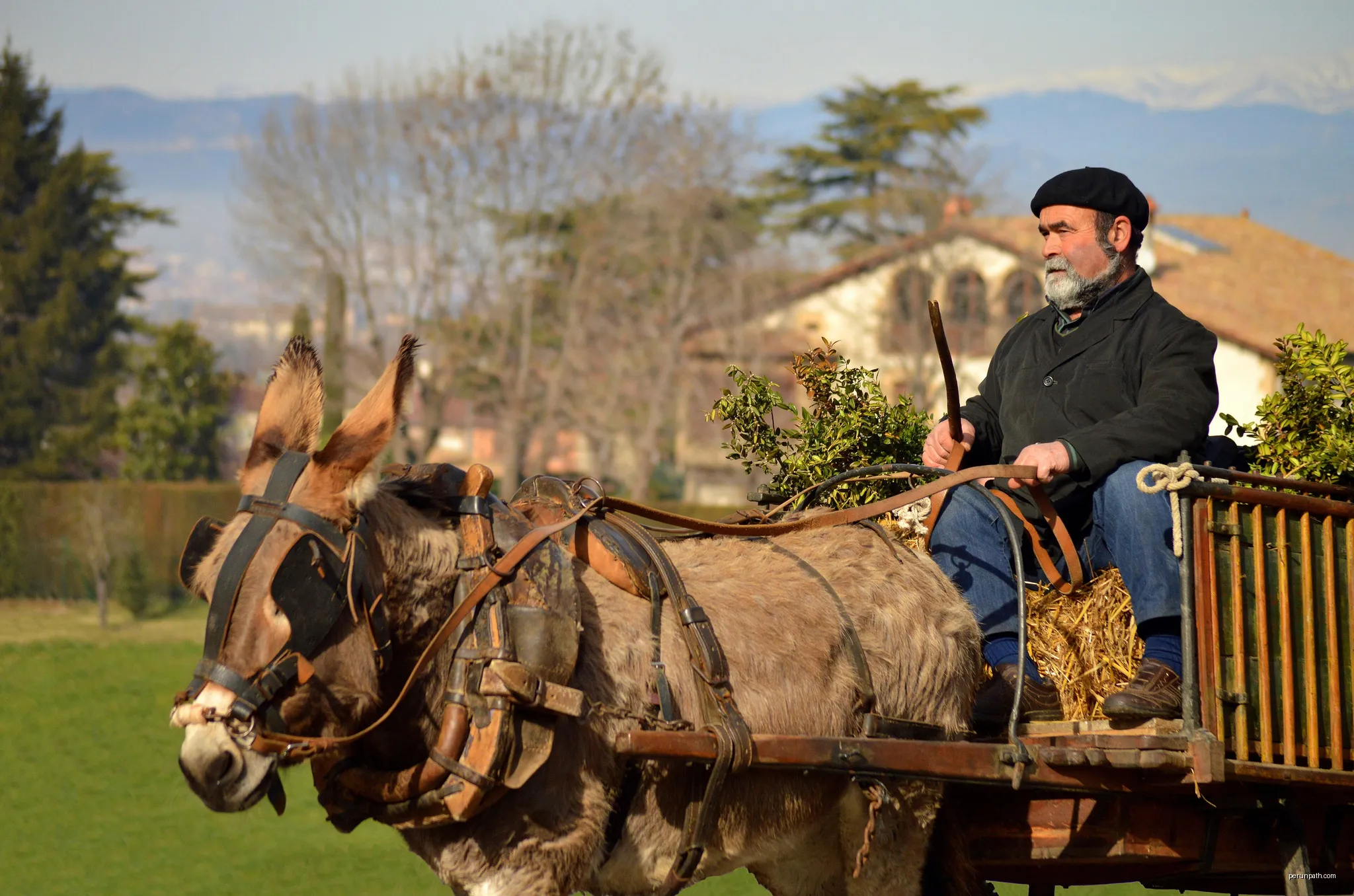 Festa dels Tonis de Santa Eugènia de Berga | Autor: Marina del Castell | Licencja: CC BY 2.0 | Źródło: Wikimedia Commons