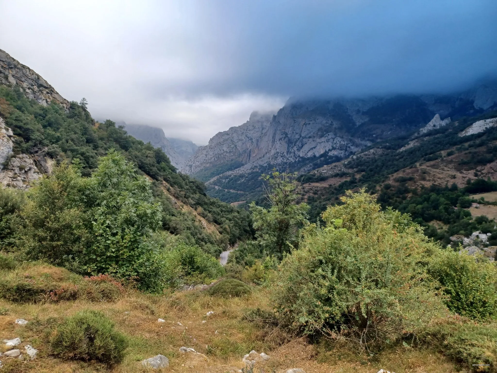 La Farfada