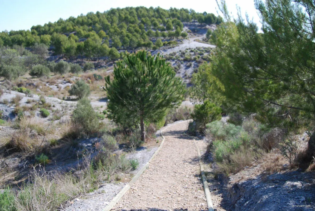 Senda del Cabezo