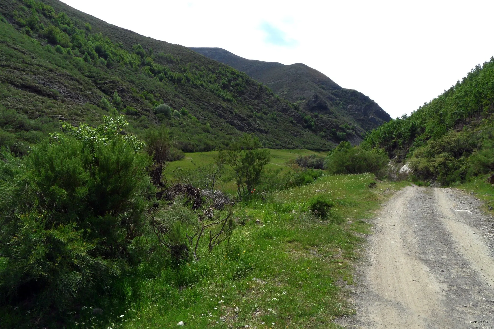 Valle del Naranco-Lechada