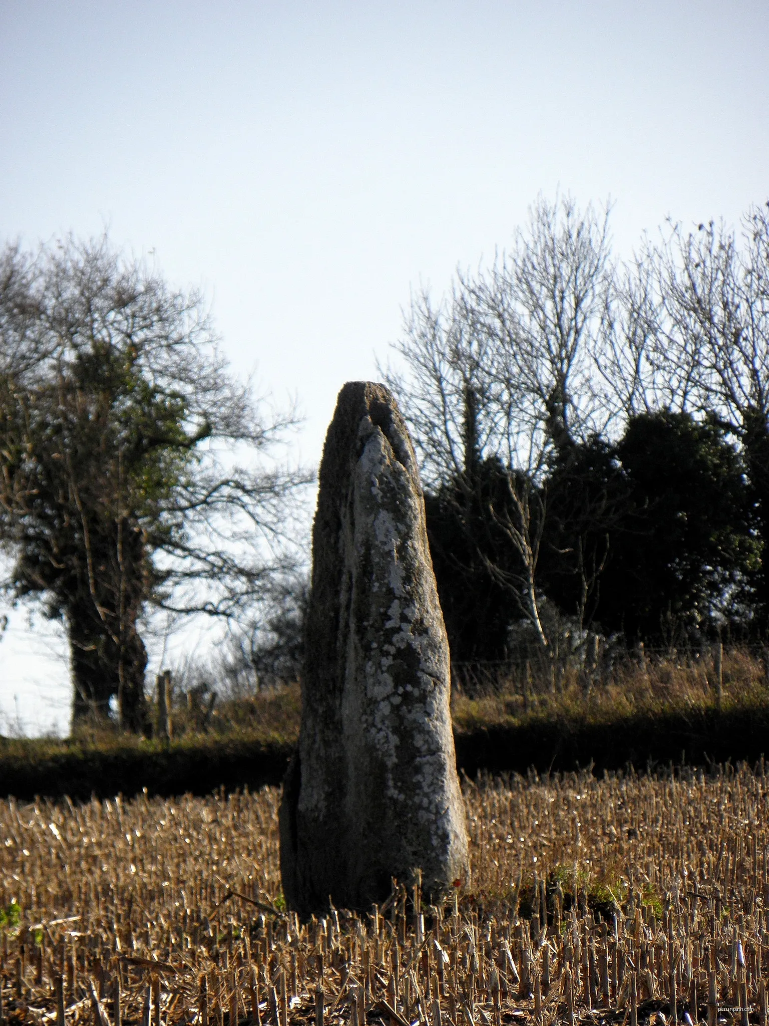 Roche Longue