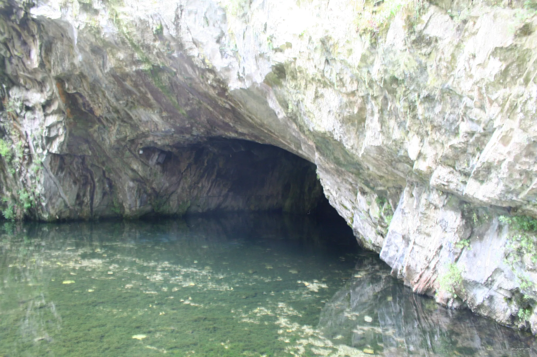 Saint-Pons-de-Thomières (Hérault) - Source du Jaur | Autor: Fagairolles 34 | Licencja: CC BY-SA 4.0 | Źródło: Wikimedia Commons