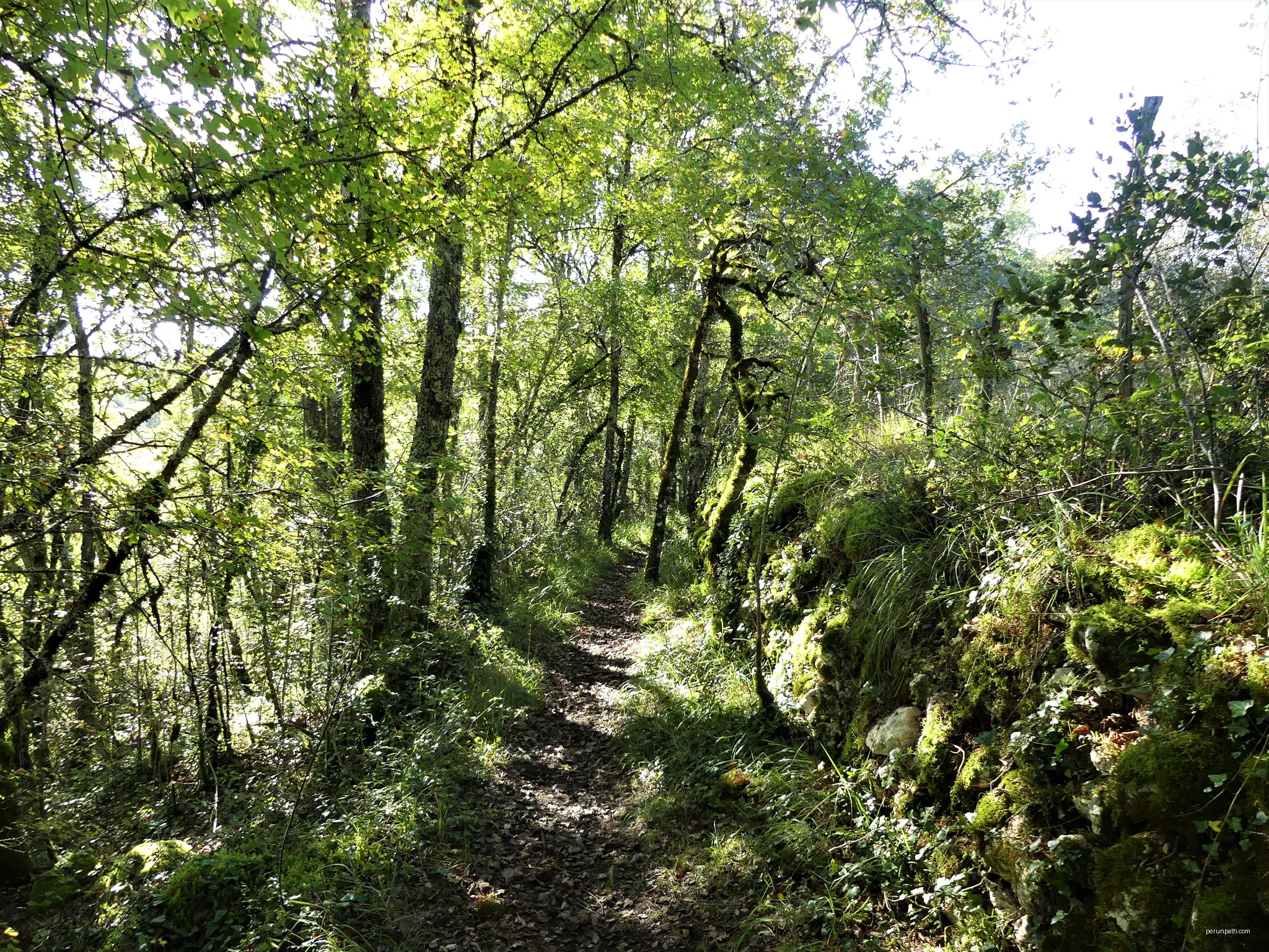 Le sentier de découverte d'Eyvigues, Salignac-Eyvigues, Dordogne, France. | Autor: Père Igor | Licencja: CC BY-SA 4.0 | Źródło: Wikimedia Commons