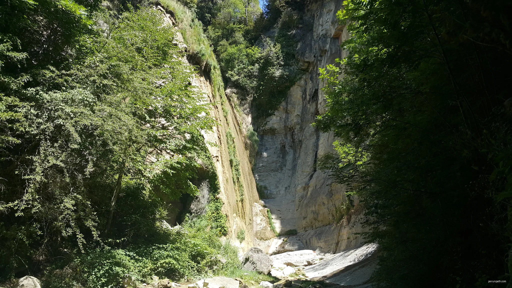 Salt del Mir