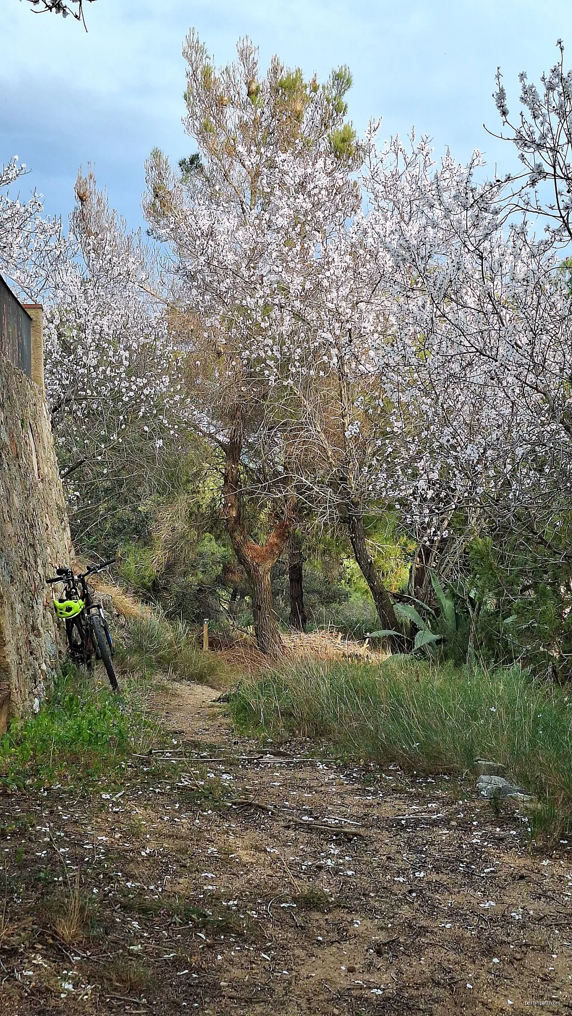 Sant Miquel de Mata - Mataró | Autor: Pere López Brosa | Licencja: CC BY-SA 4.0 | Źródło: Wikimedia Commons