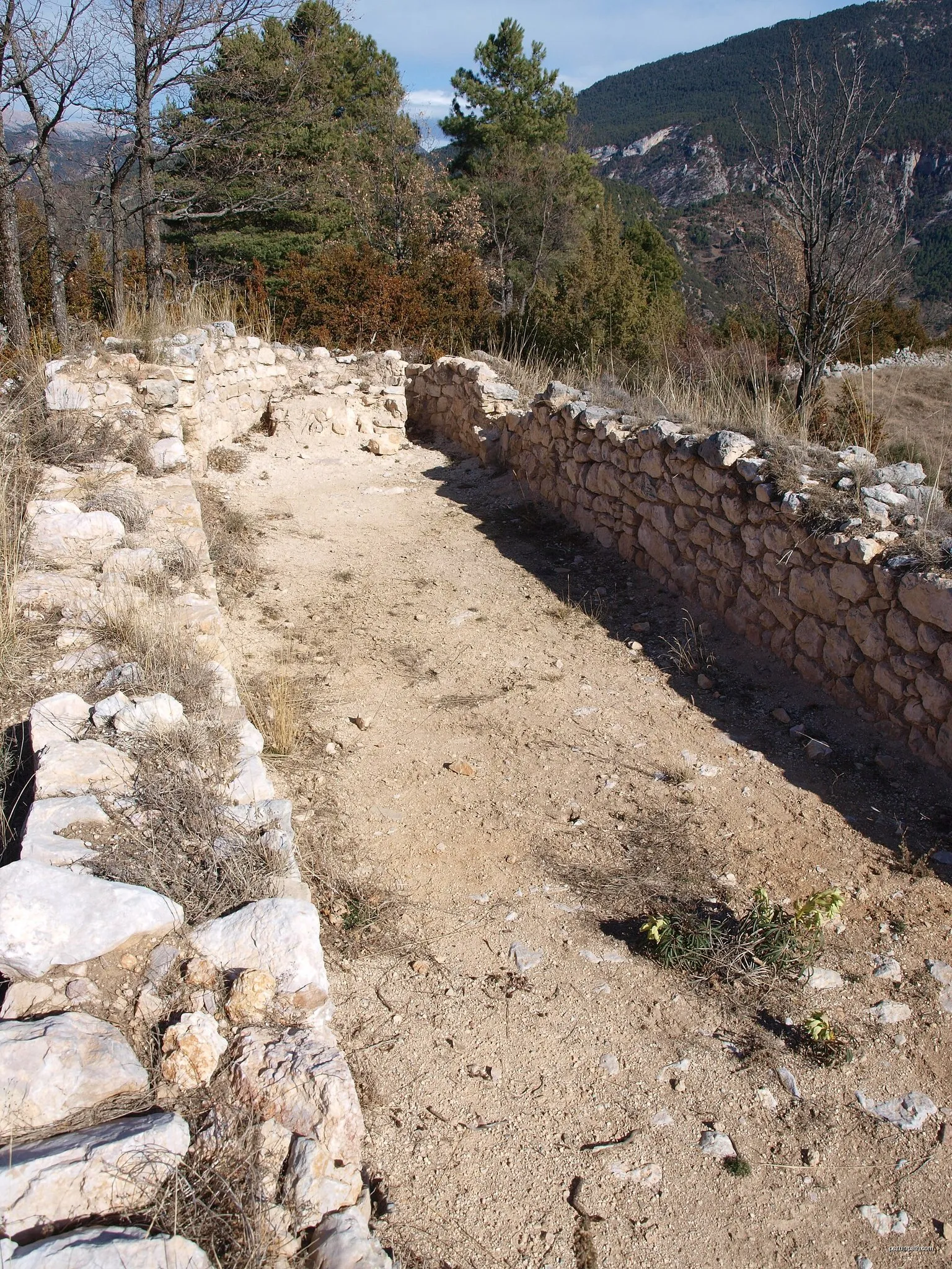Ossera, itinerari botànic