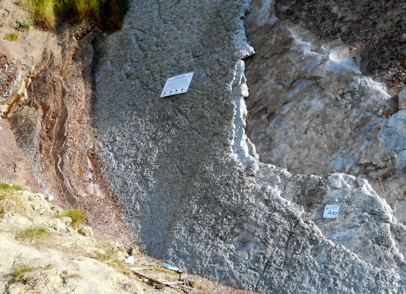 Algorriko geoibilbidea - Altxor geolokikoa