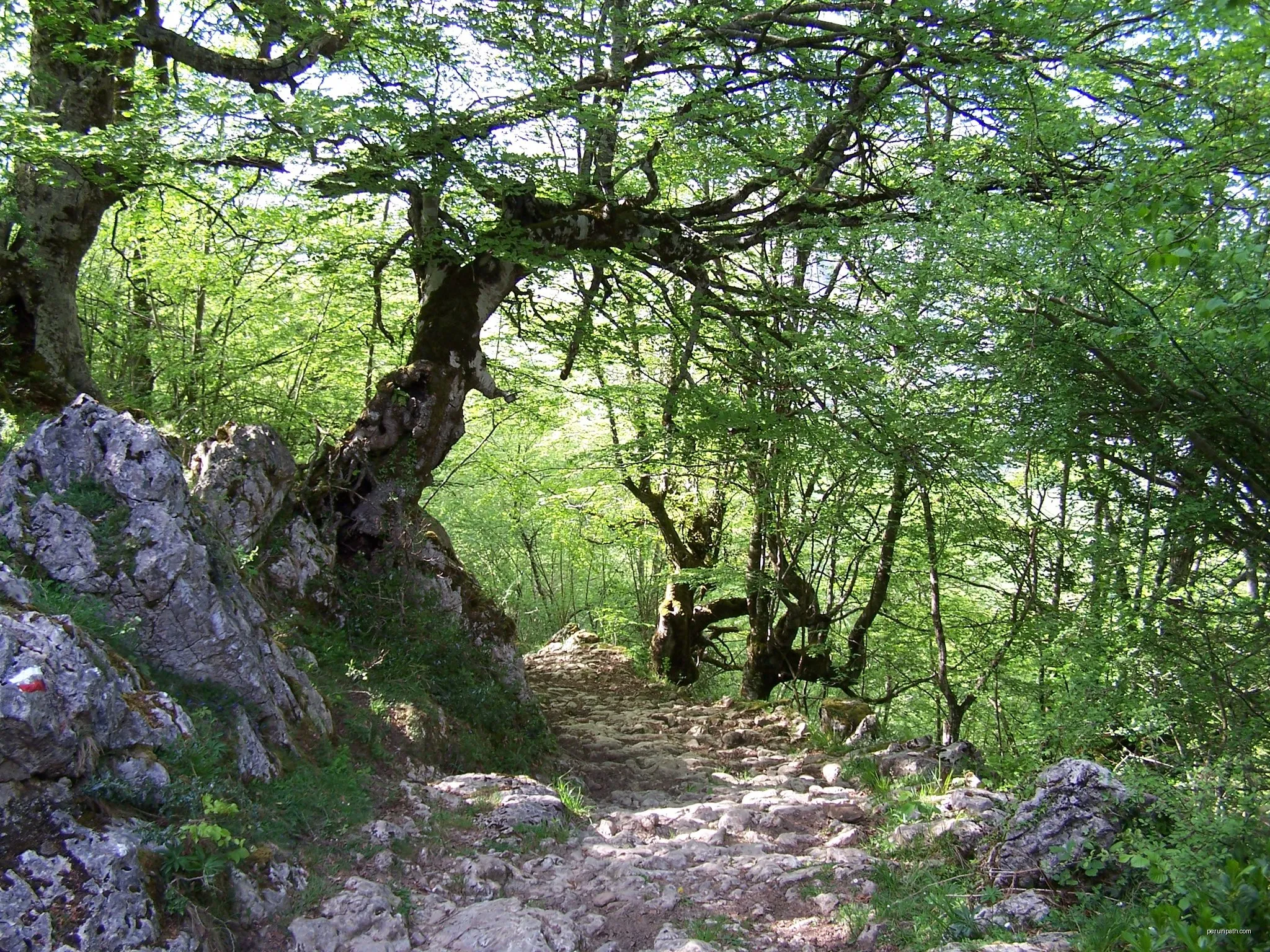 Senda del Arcediano