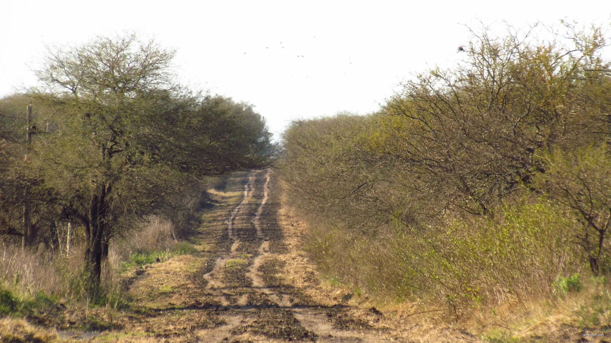 Sendero del Monte
