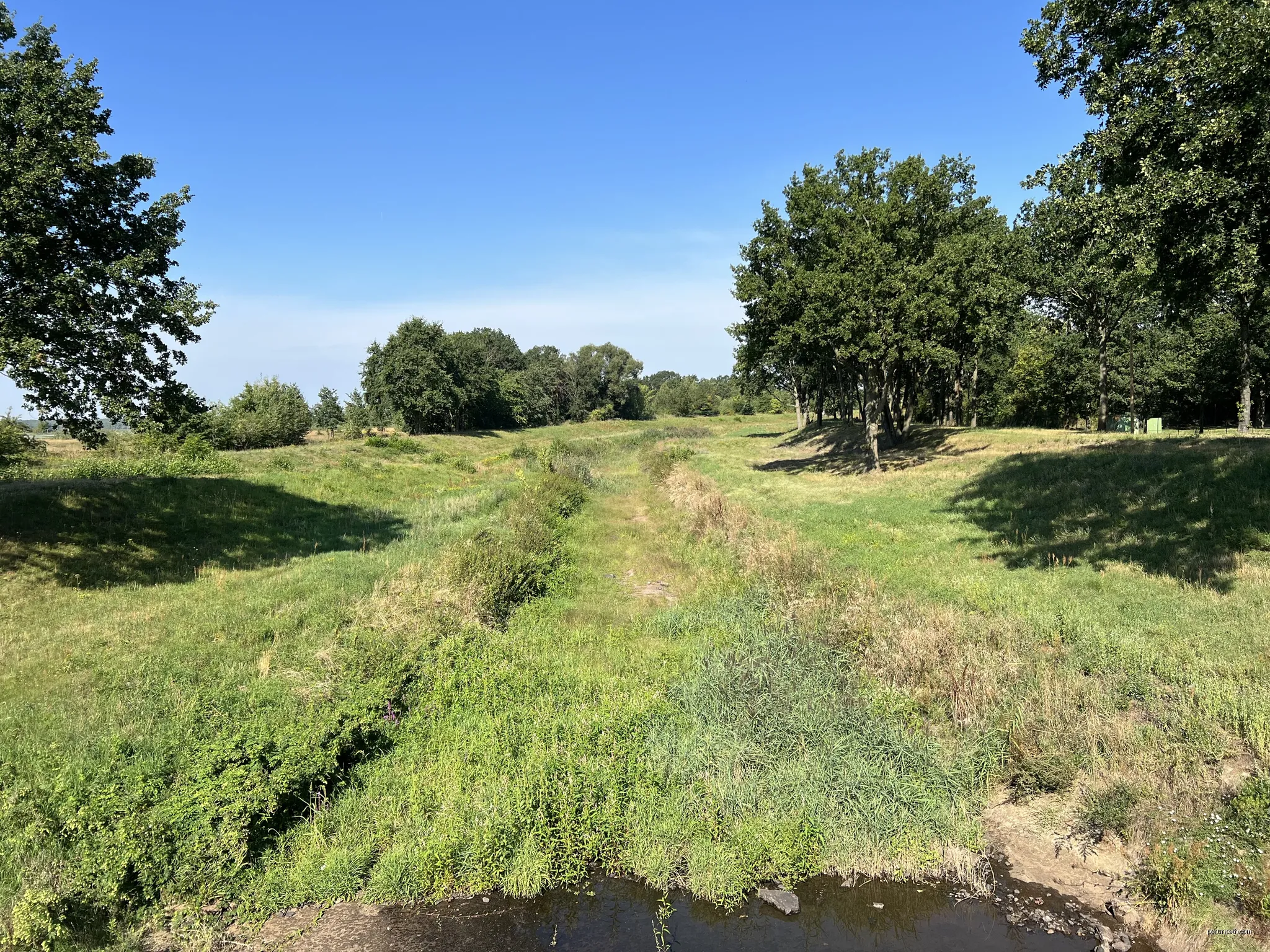 Schwarze Elster in Senftenberg, Landkreis Oberspreewald-Lausitz, Brandenburg, Deutschland | Autor: Lukas Beck | Licencja: CC BY-SA 4.0 | Źródło: Wikimedia Commons